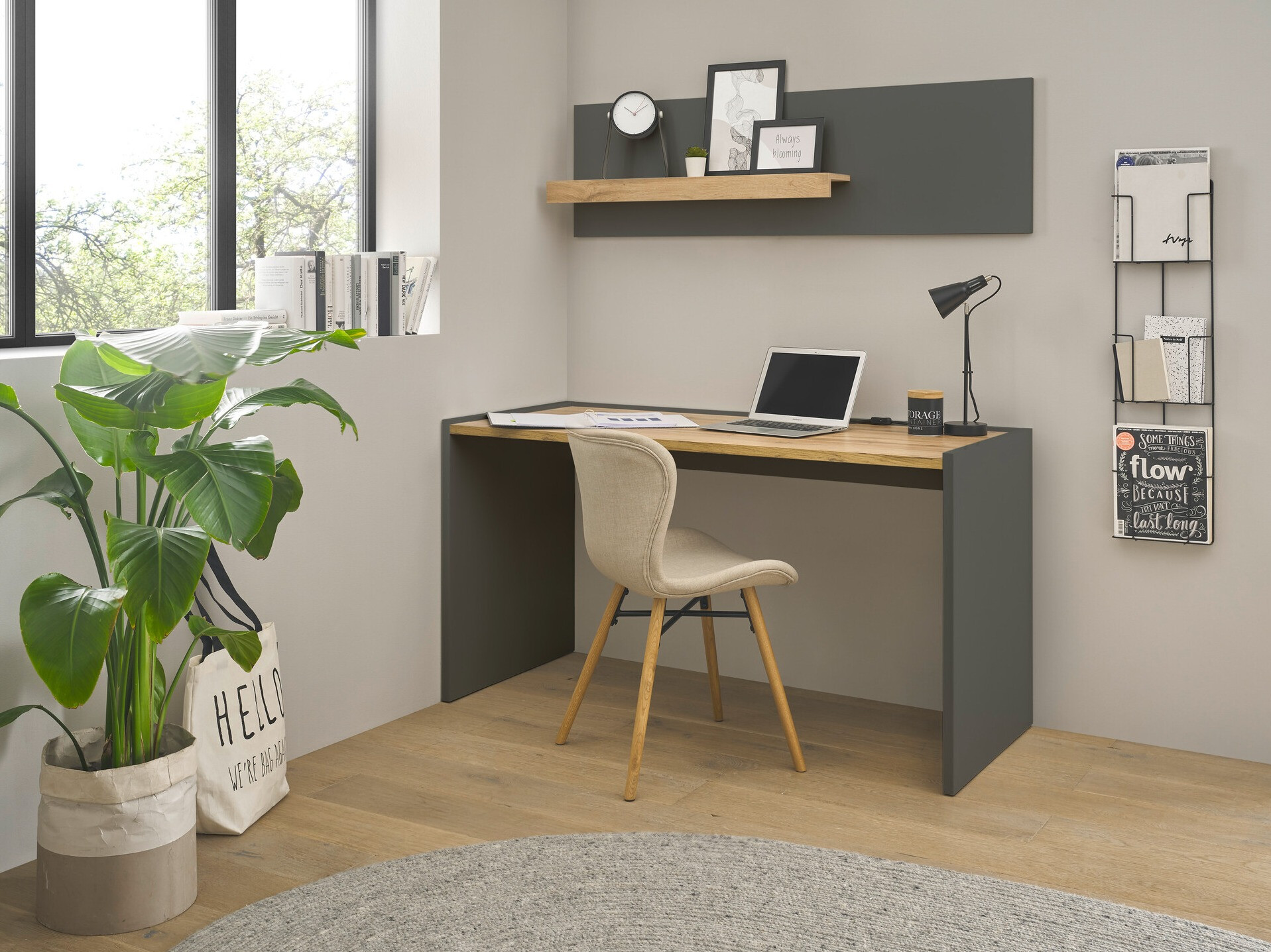 Komplet za domačo pisarno Elbsori 157 (Antracit + Wotan hrast)
