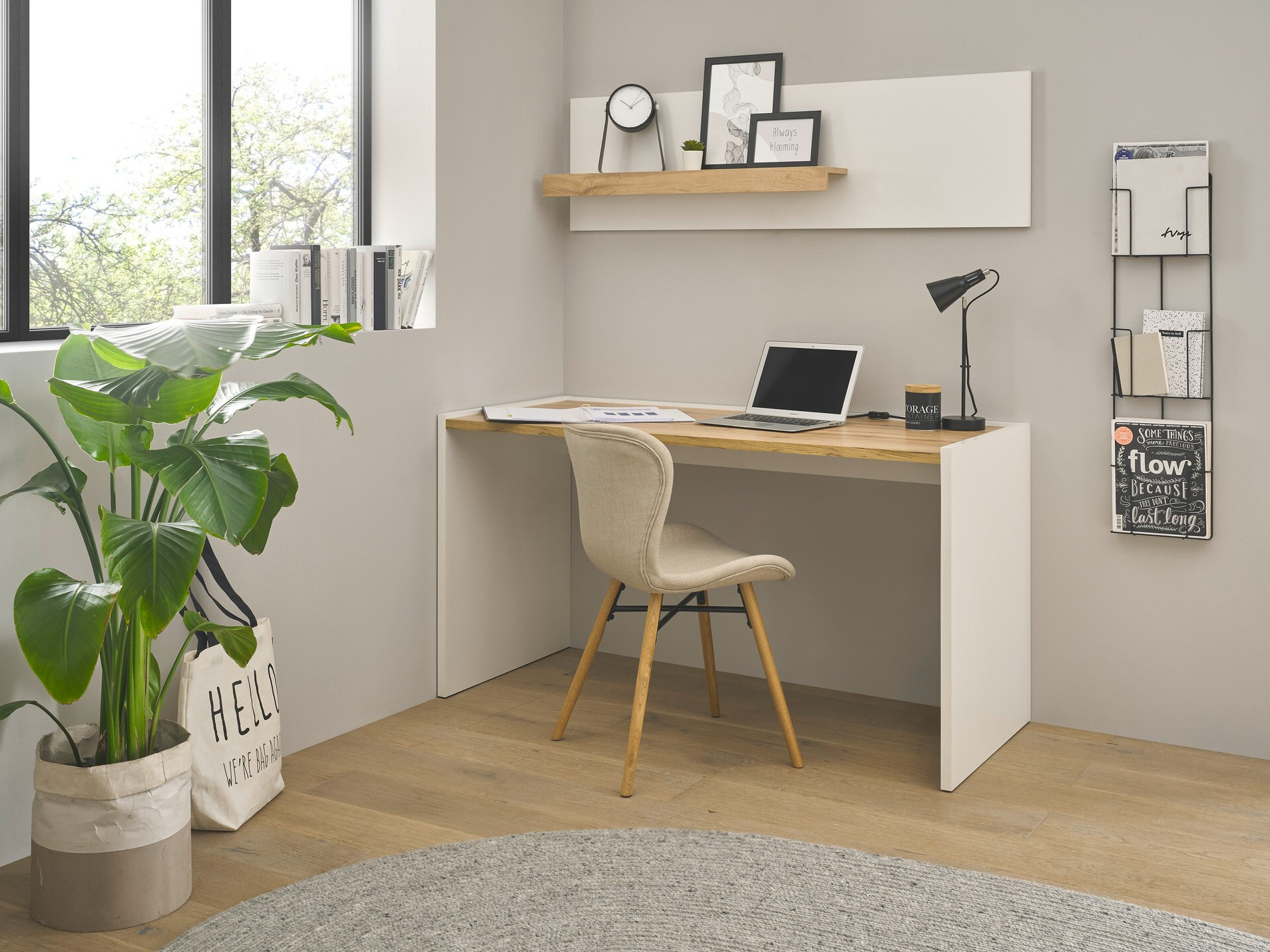 Komplet za domačo pisarno Elbsori 157 (Bela + Wotan hrast)