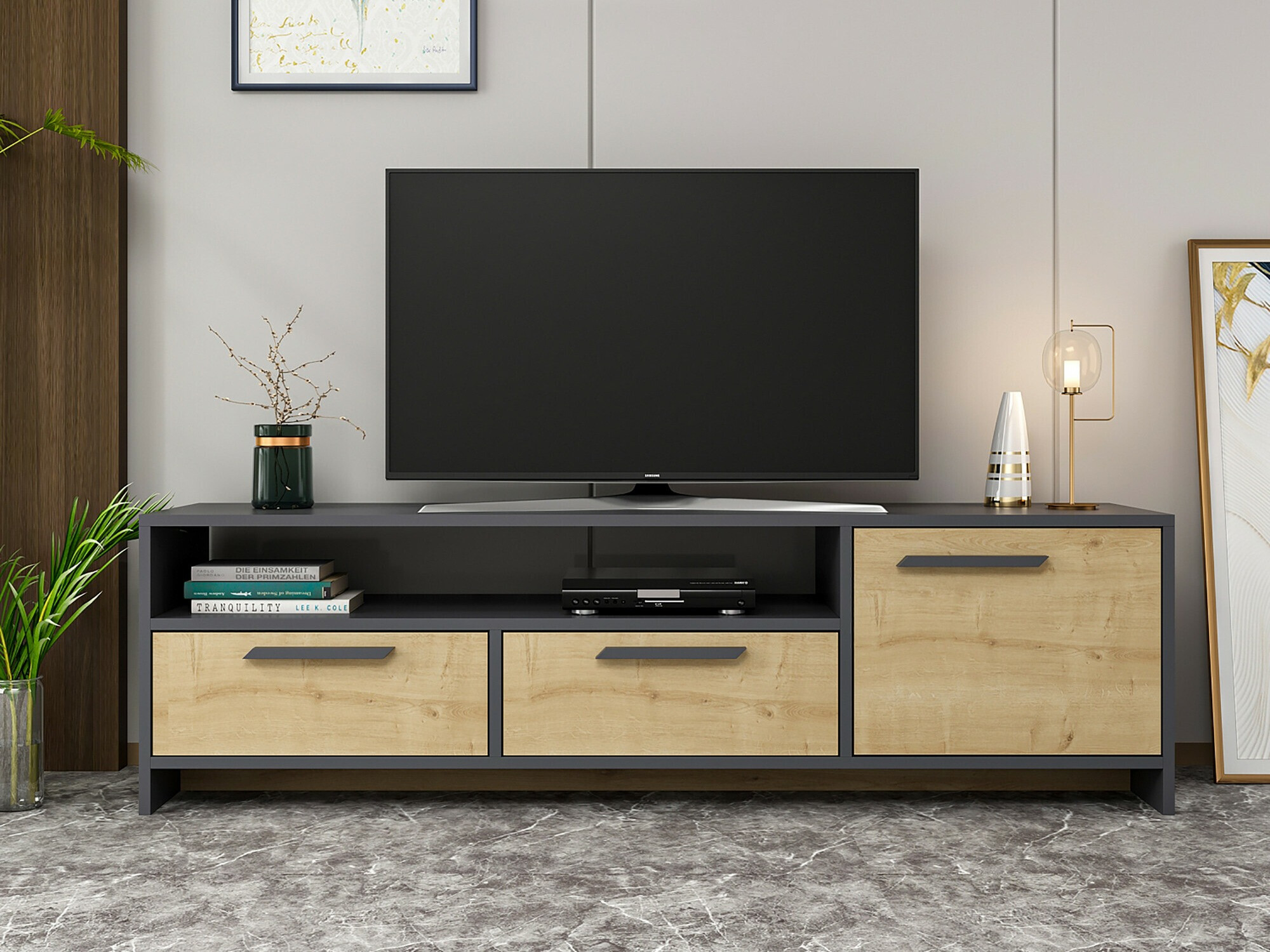 TV-omarica Kailua 2052