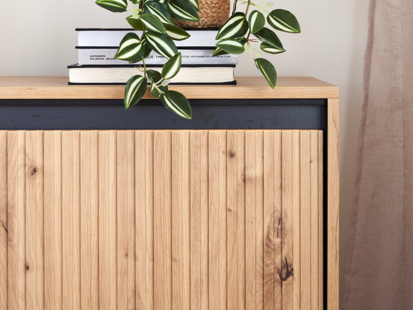 Komoda Fernolu 100 (Artisan hrast + Črna)