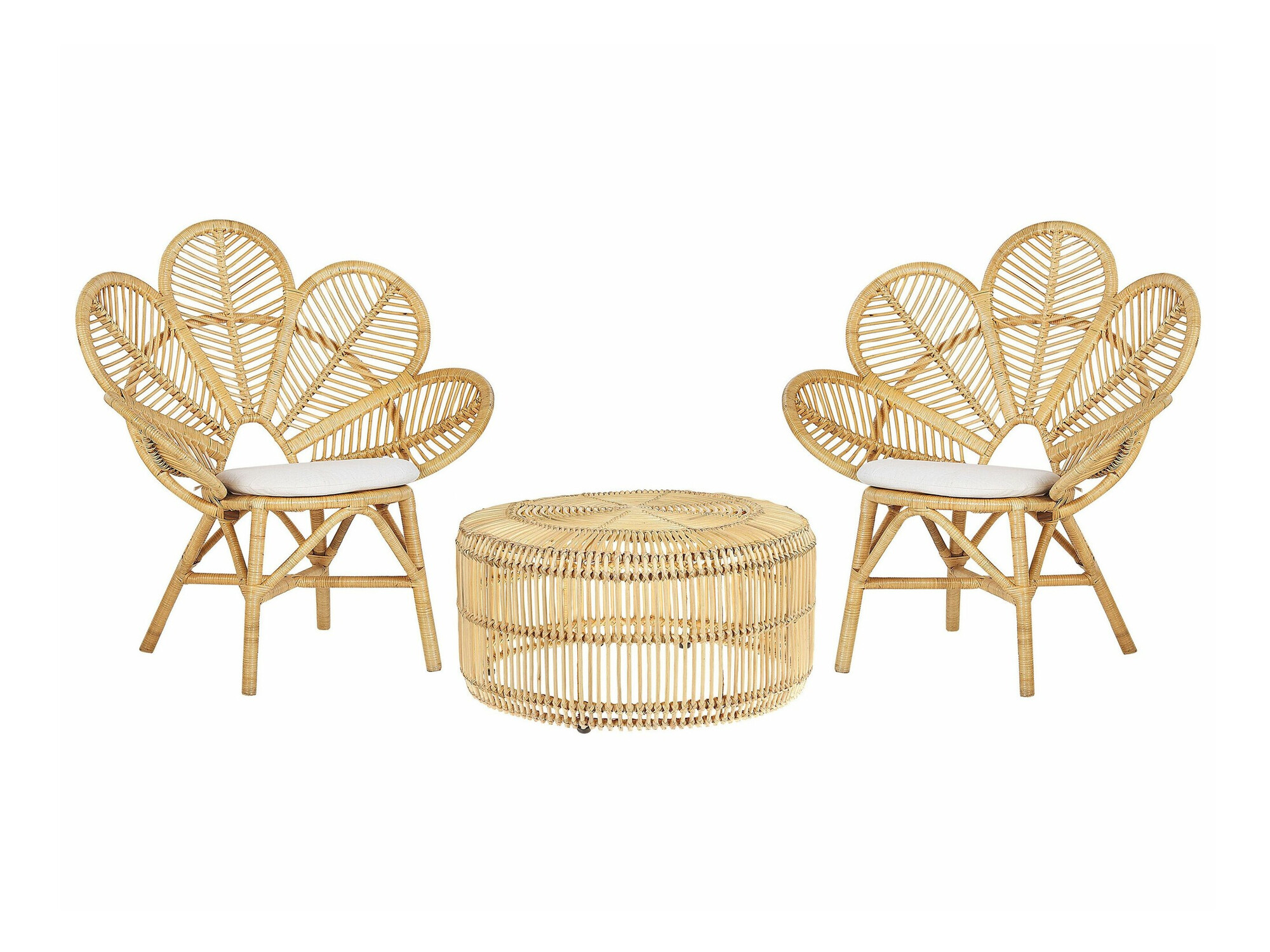 Komplet vrtnega pohištva Berwyn 1884