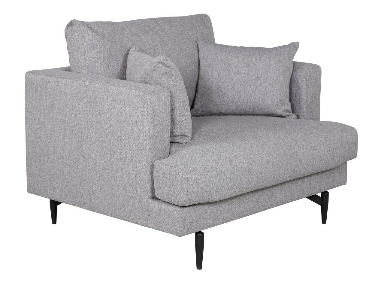 Fotelj Dallas 1703 (Svetlo siva + Črna)