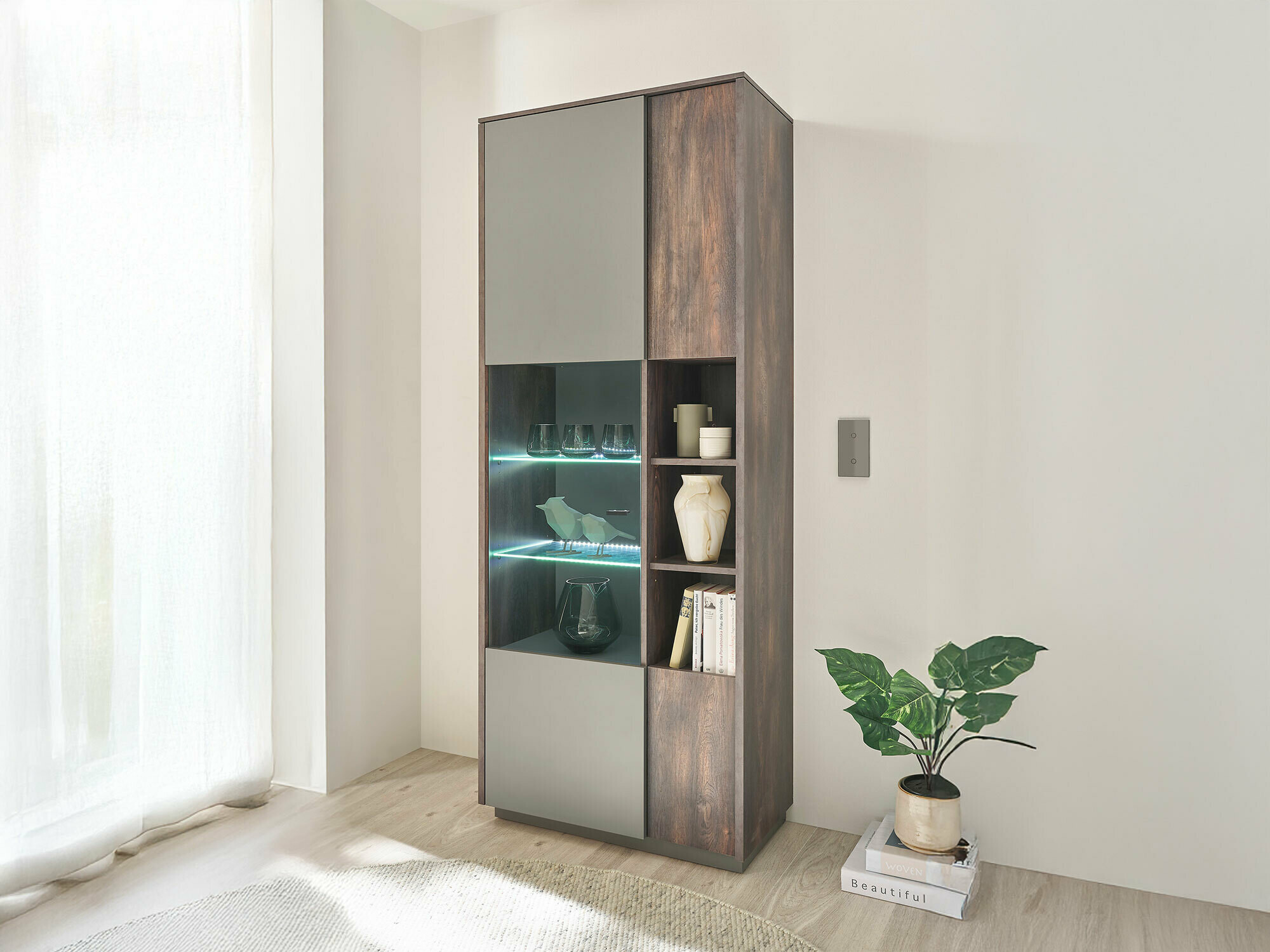 Regal Beltolo 117