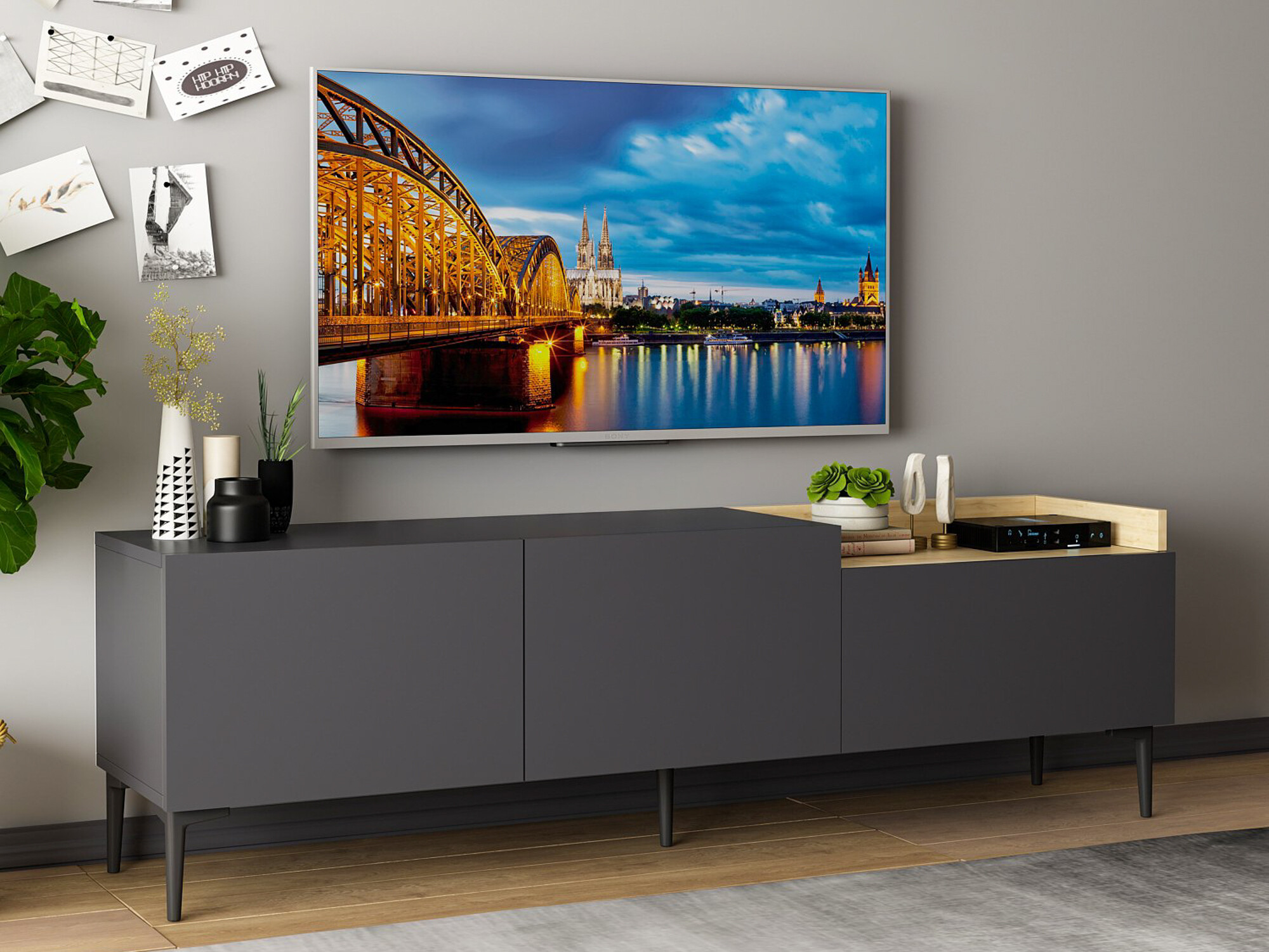 TV-omarica Kailua 1006