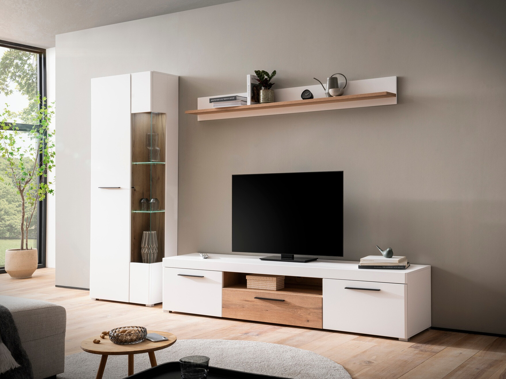 TV-omarica Delelme 103