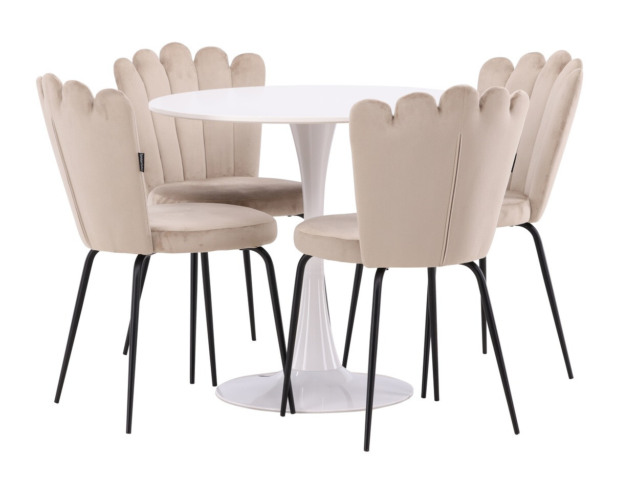 Jedilniški komplet Dallas 4591