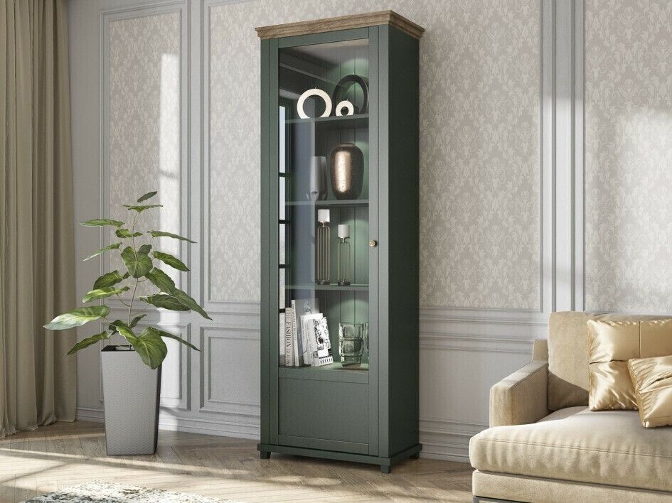 Regal Tolnue 101 (Temno zelena + Hrast lefkas)