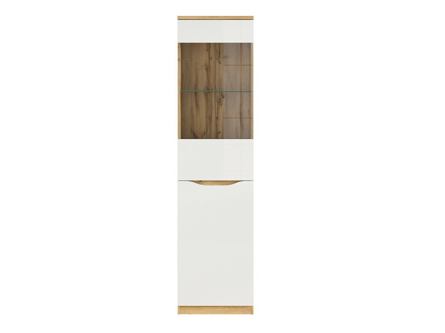 Regal Avifera 105