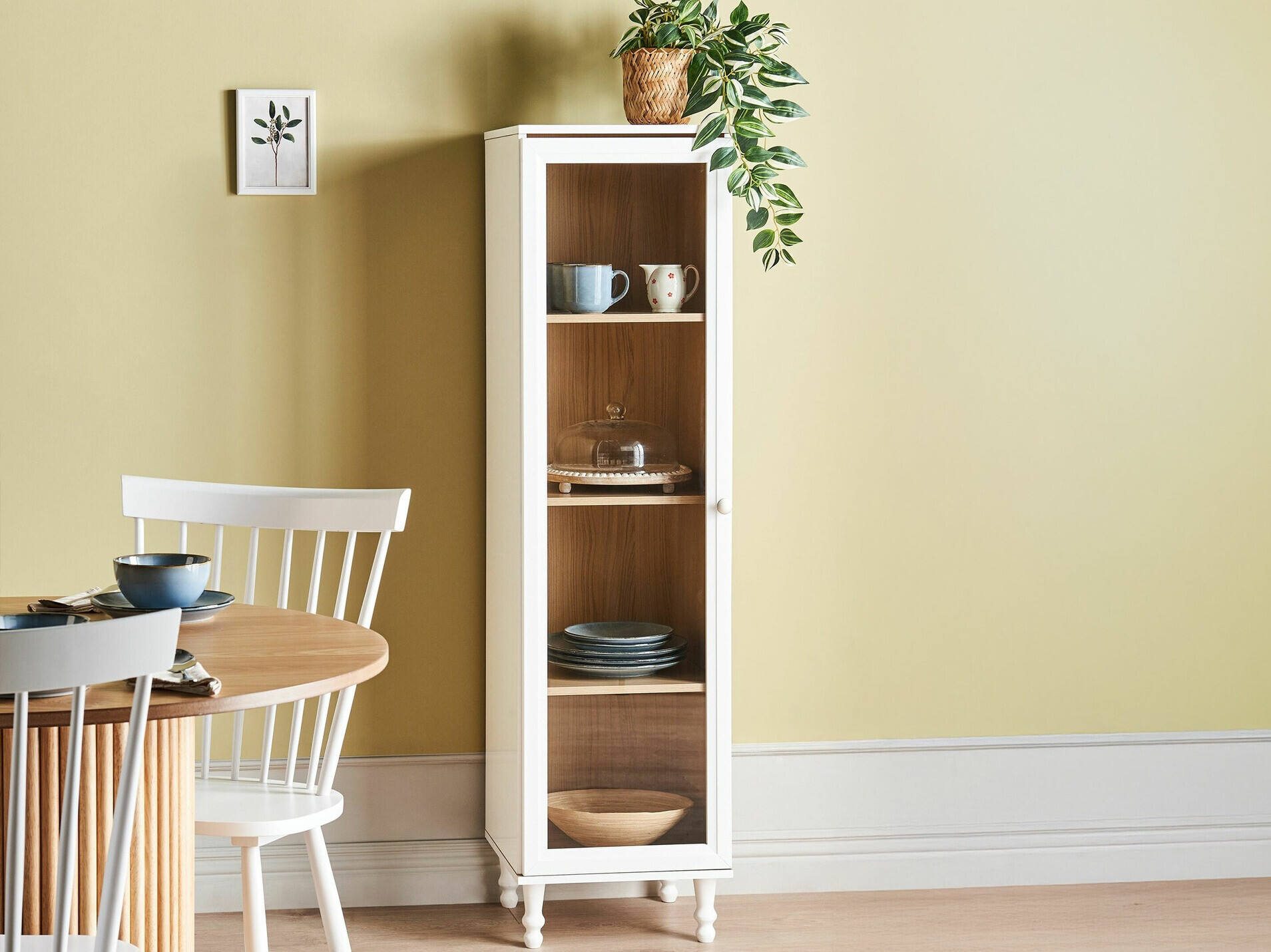 Regal Berwyn 2386 (Bela + Svetel les)