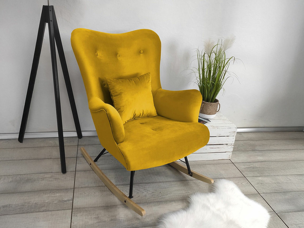 Gugalnik Clovis 101 (Magic Velvet 2234)