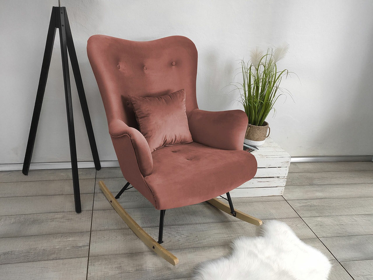 Gugalnik Clovis 101 (Magic Velvet 2258)