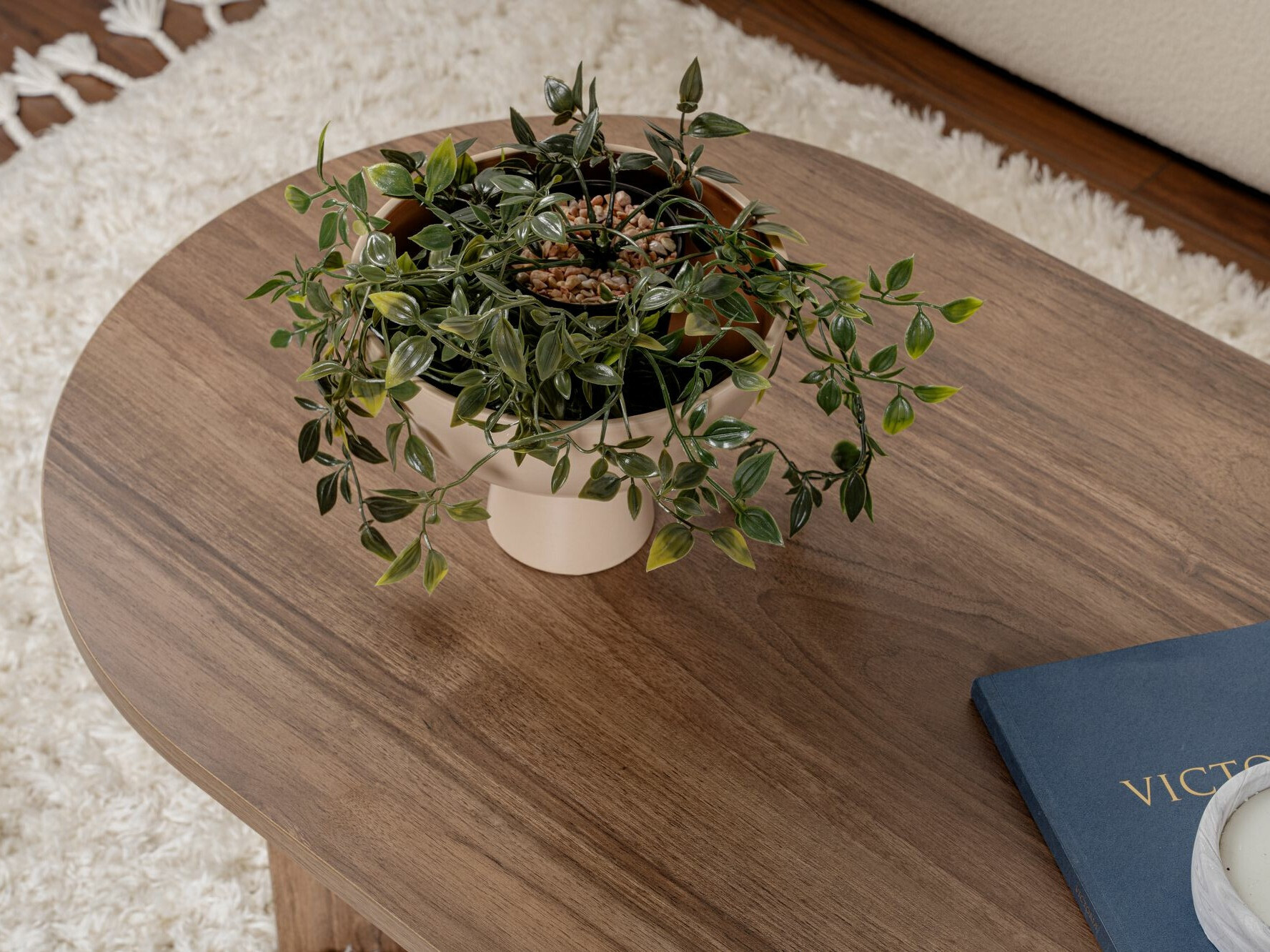 Klubska mizica Novato 111 (Oreh)