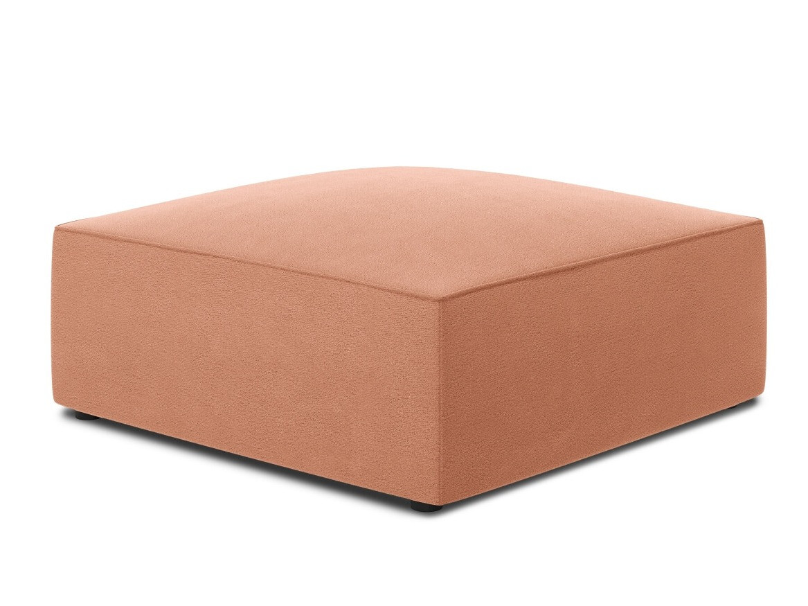 Klop z oblazinjenjem Vermaru 103 (Salvador 11)