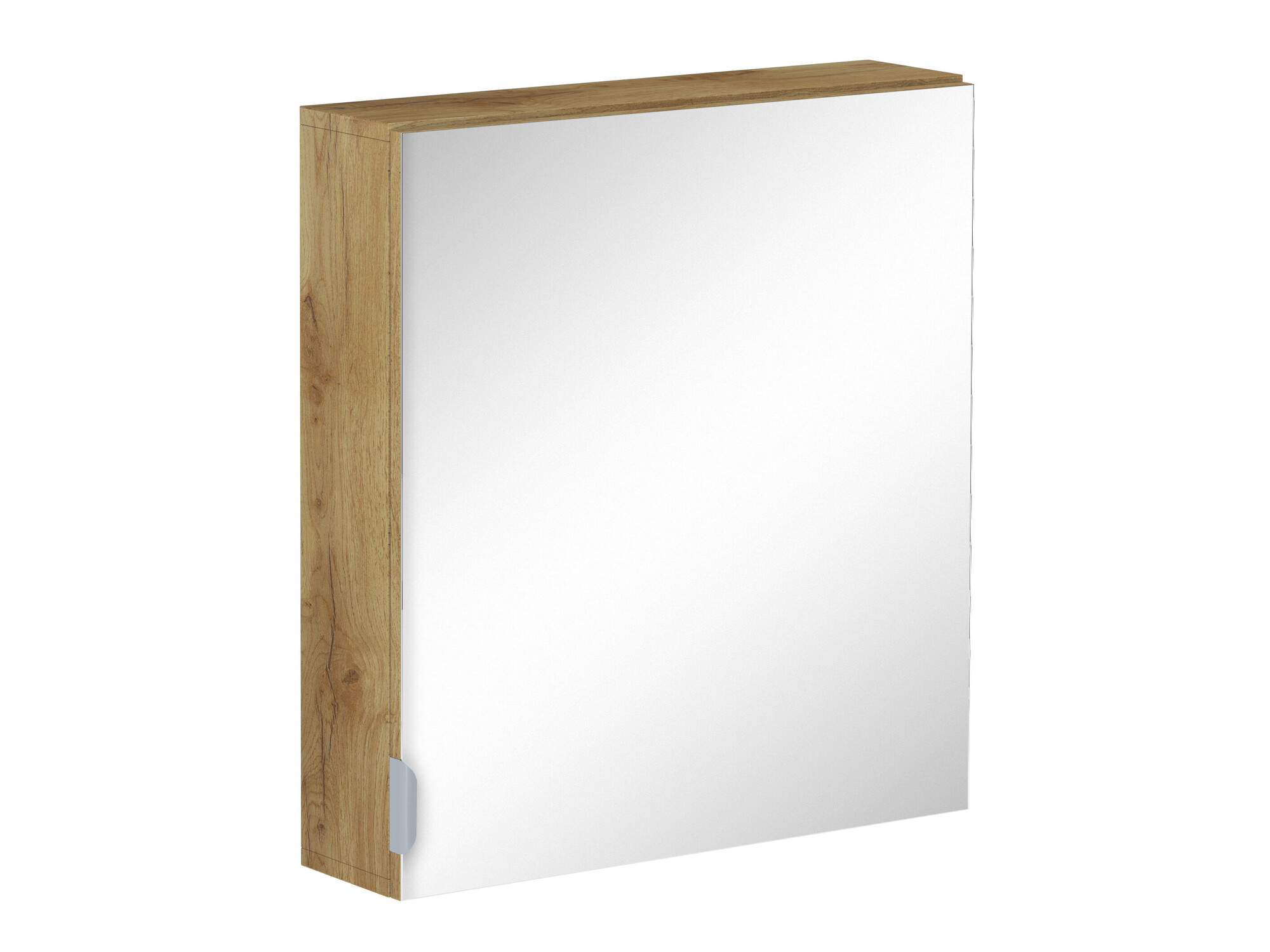 Kopalniška omarica z ogledalom Denton 1470