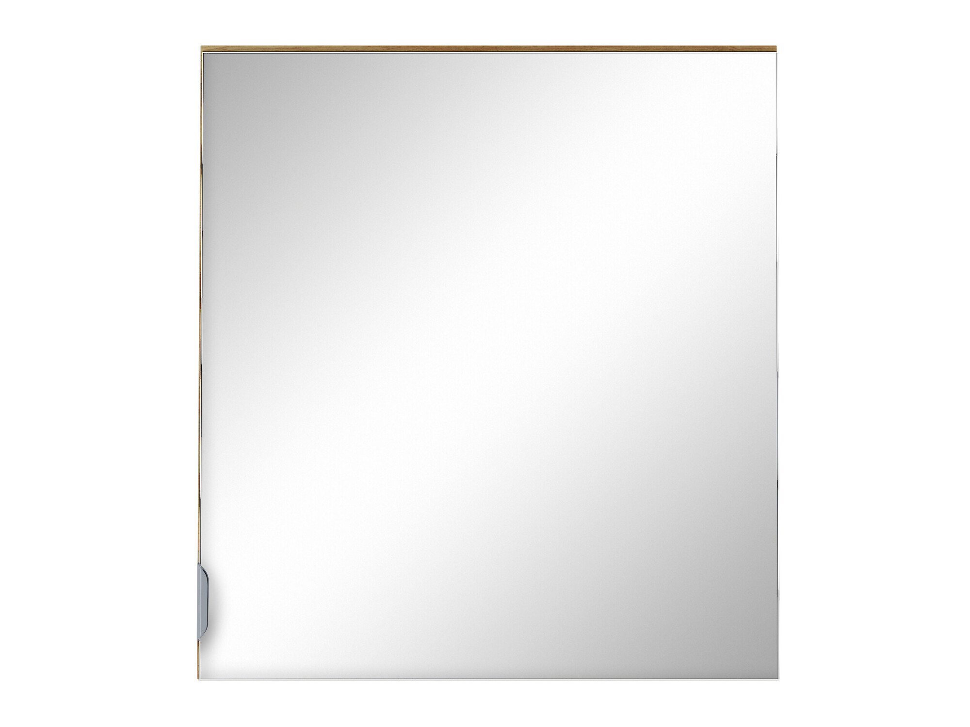 Kopalniška omarica z ogledalom Denton 1470