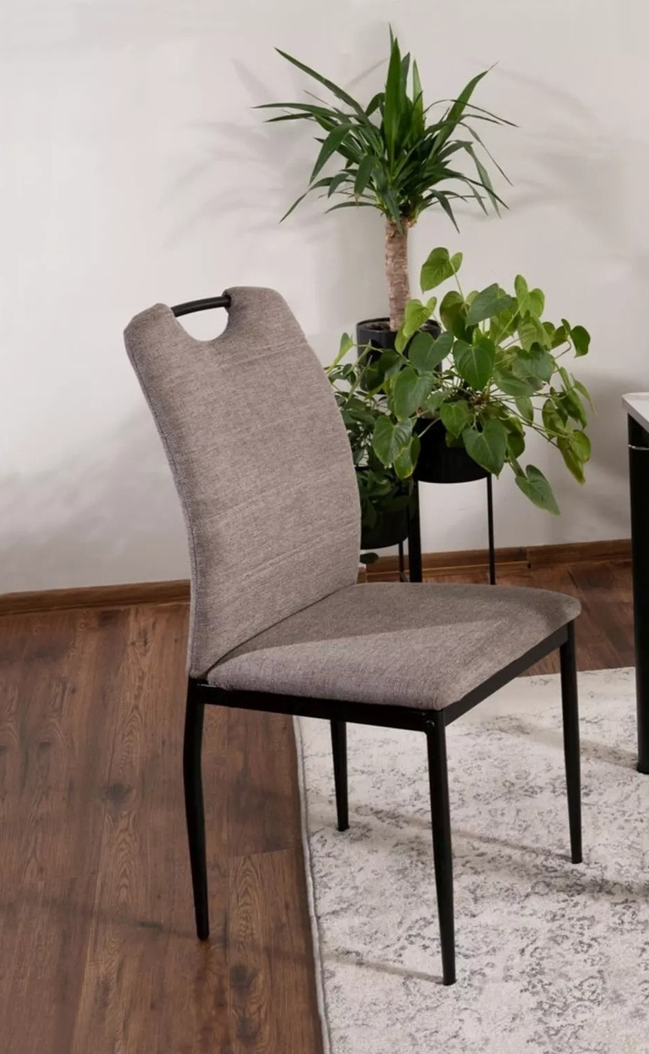 Stol Detroit 753 (Svetlo rjava)