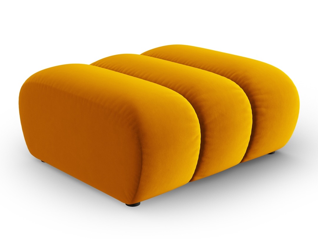 Klop z oblazinjenjem Cirleve 109 (Salvador 10)