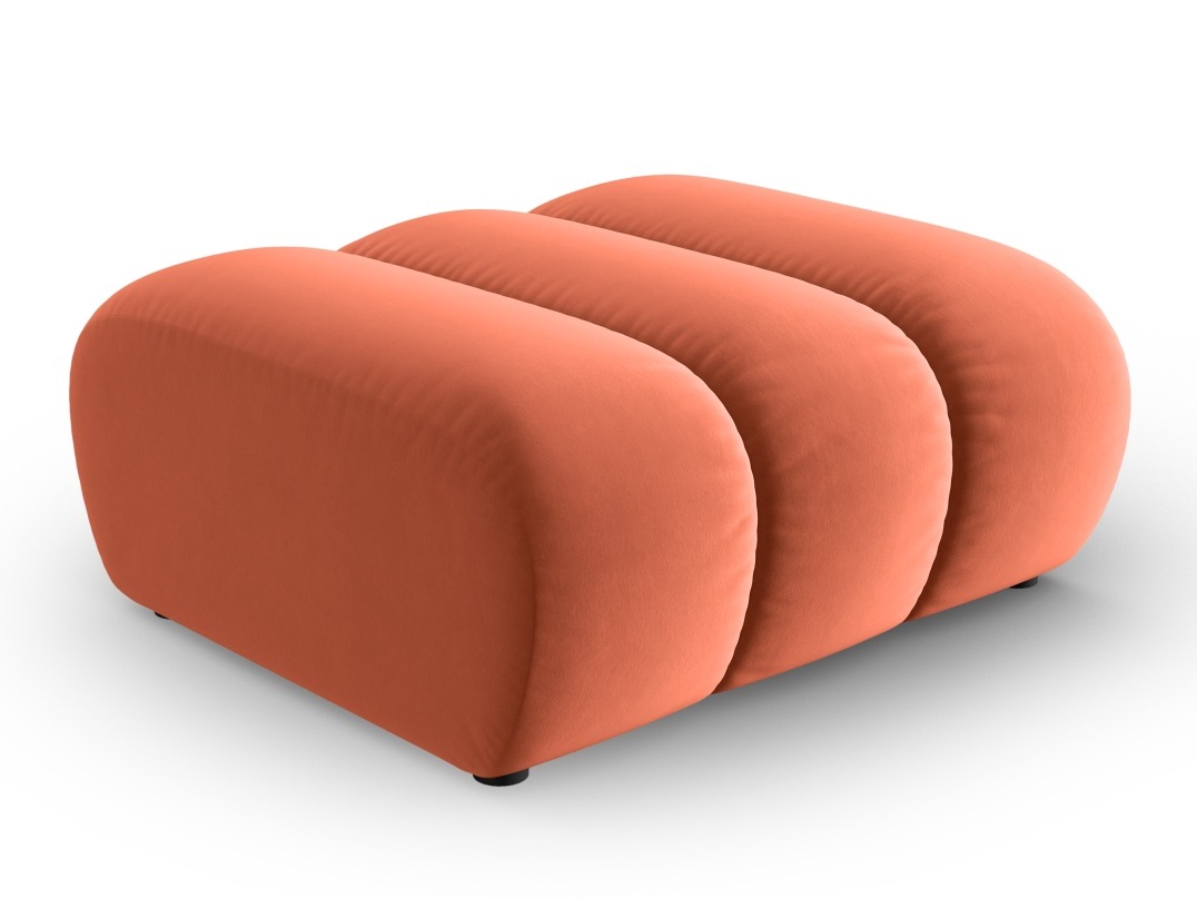 Klop z oblazinjenjem Cirleve 109 (Salvador 12)