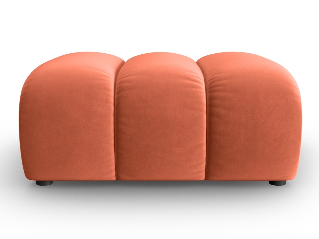 Klop z oblazinjenjem Cirleve 109 (Salvador 12)