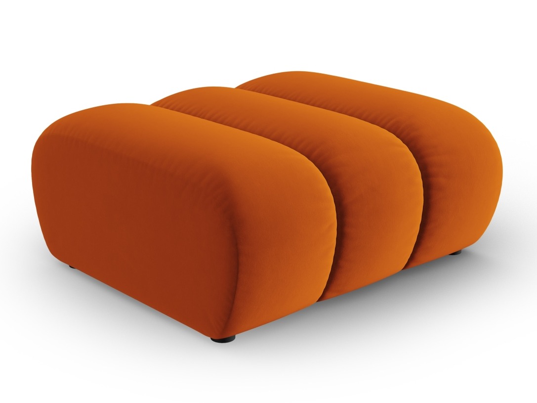 Klop z oblazinjenjem Cirleve 109 (Salvador 14)