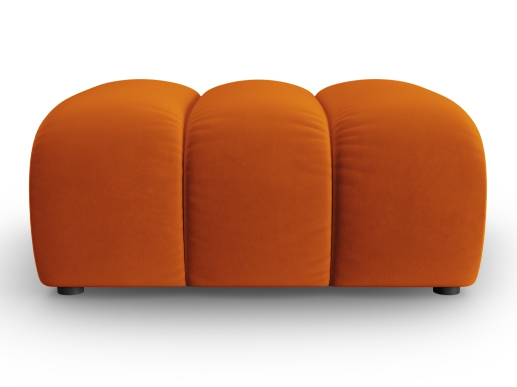 Klop z oblazinjenjem Cirleve 109 (Salvador 14)