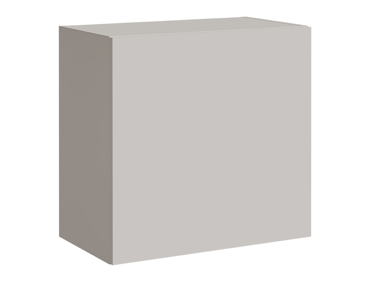 Stenska omarica Species (Kašmir)