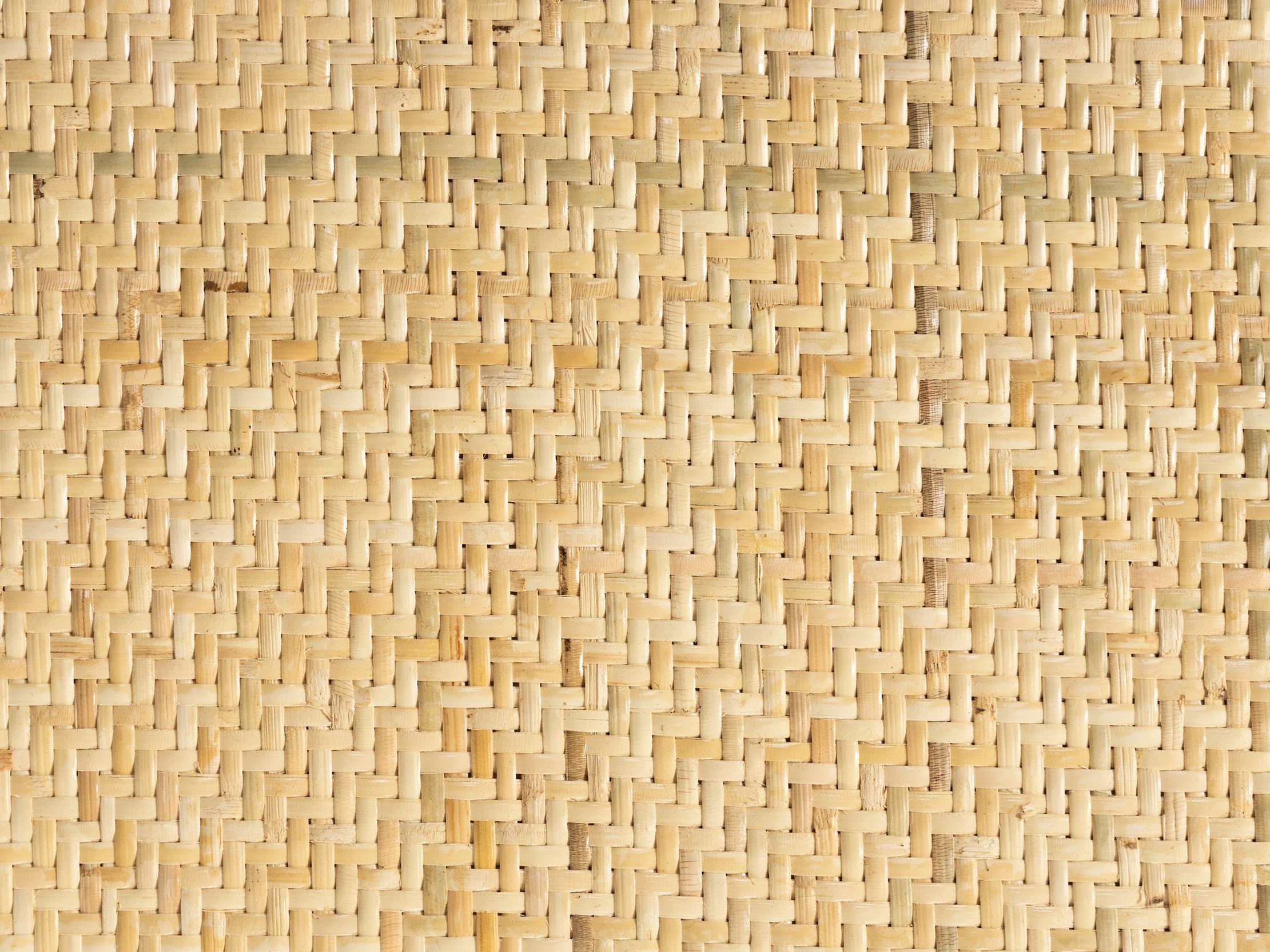 Stol Springfield 256 (Črna + Svetlo rjava)