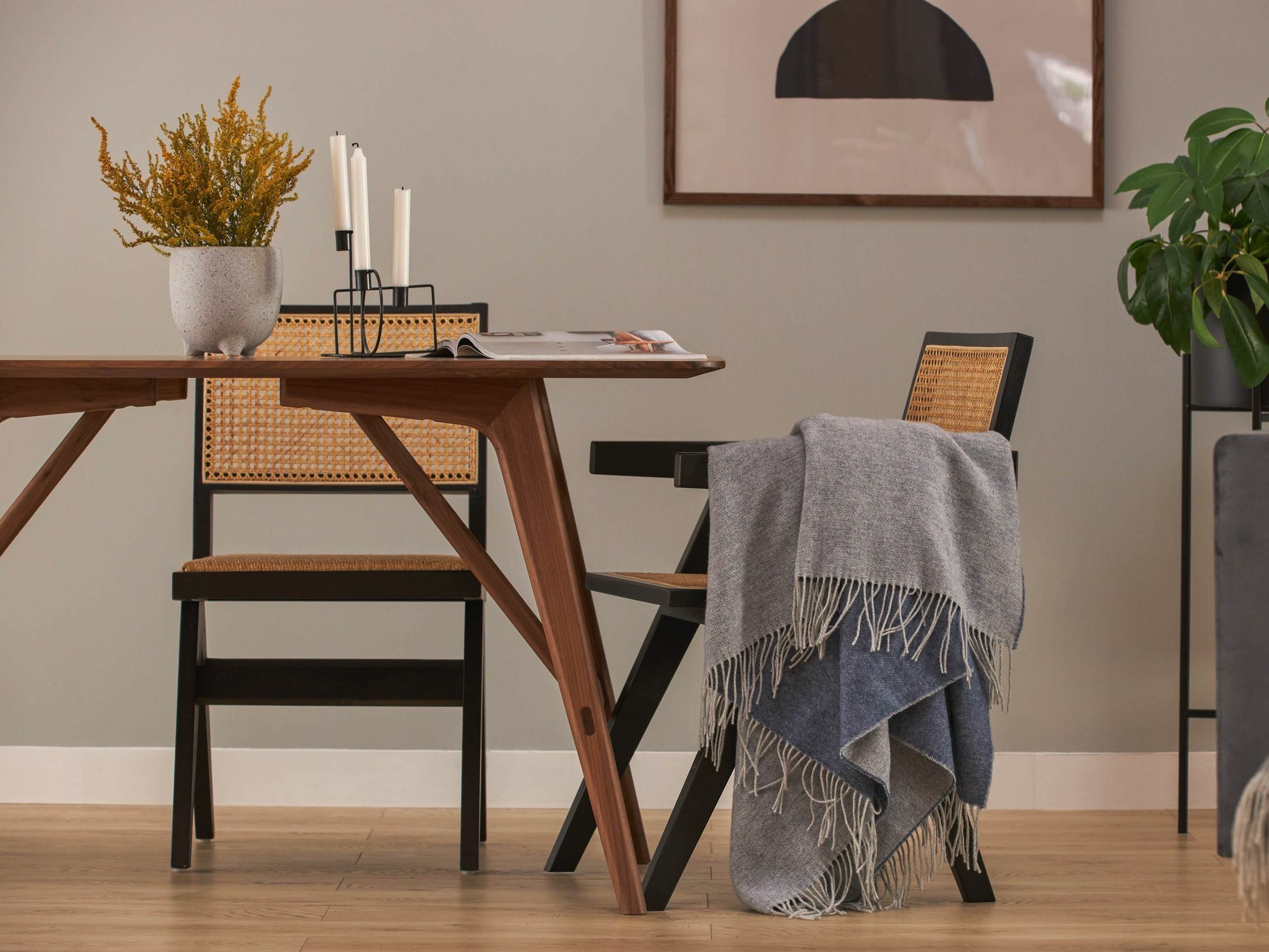 Stol Springfield 256 (Črna + Svetlo rjava)