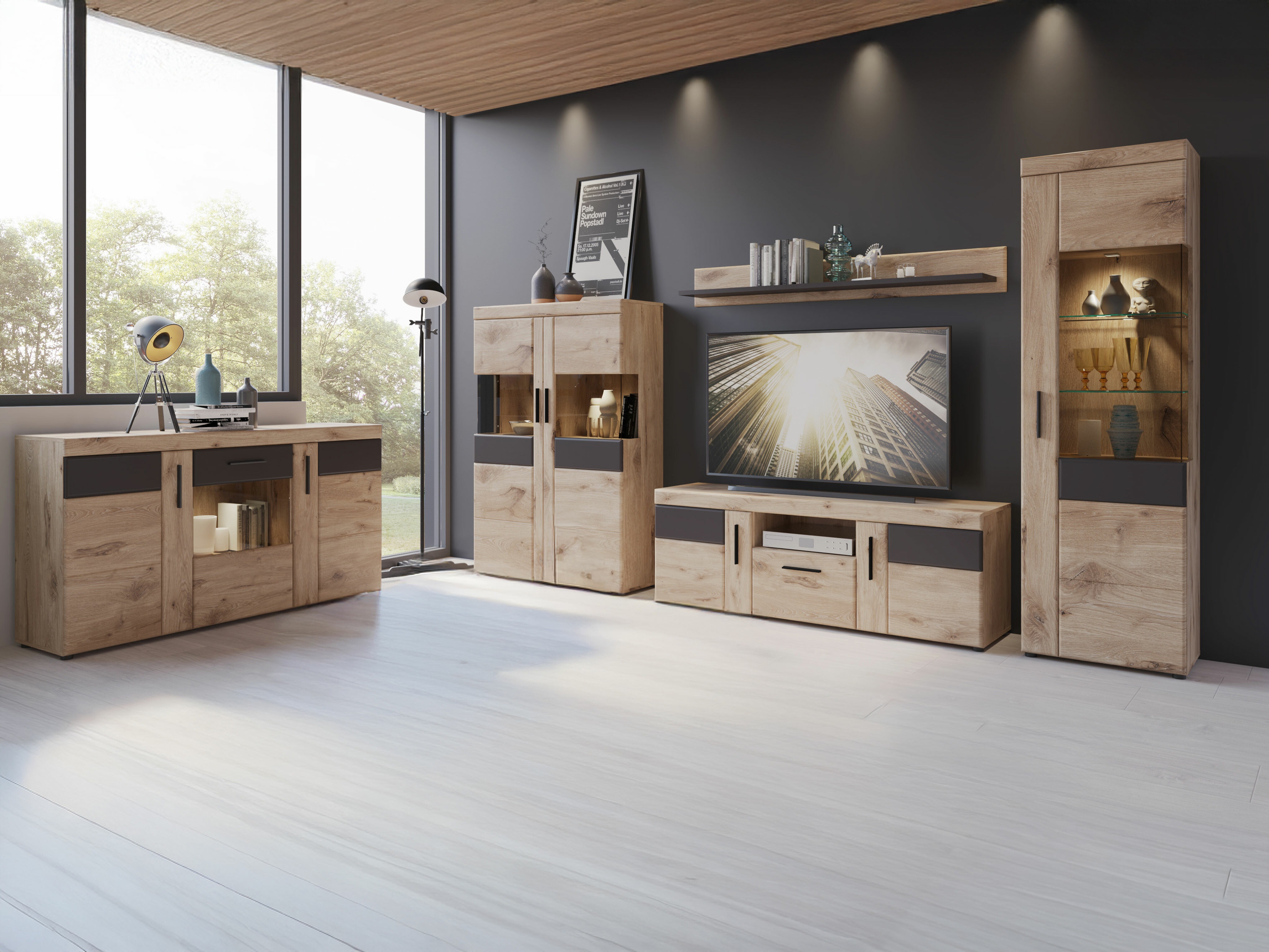 TV-omarica Tivodea 110