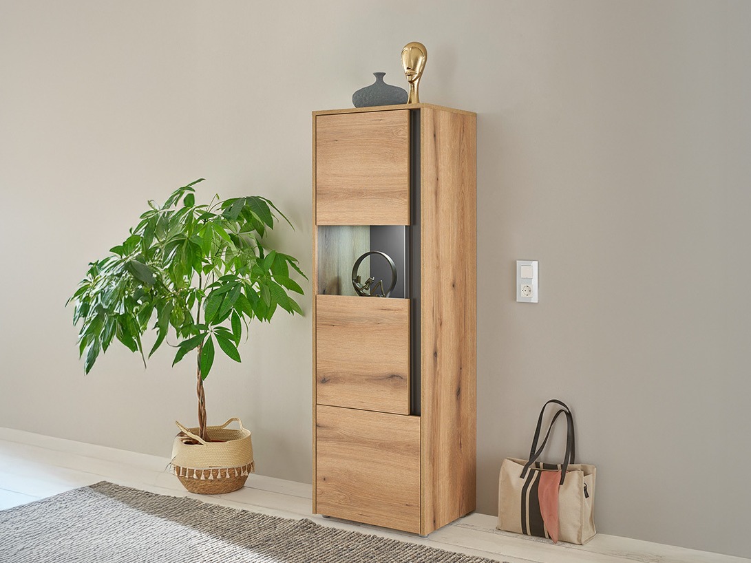 Regal Elbsori 102 (Hrast + Antracit)