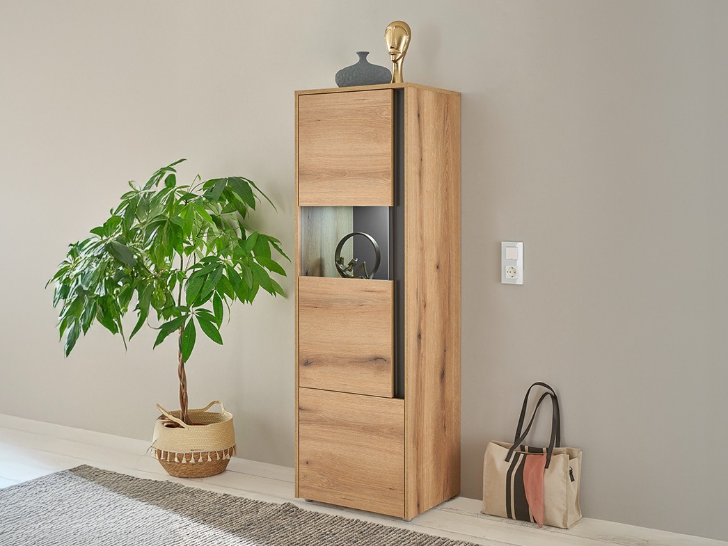 Regal Elbsori 102 (Hrast + Antracit)