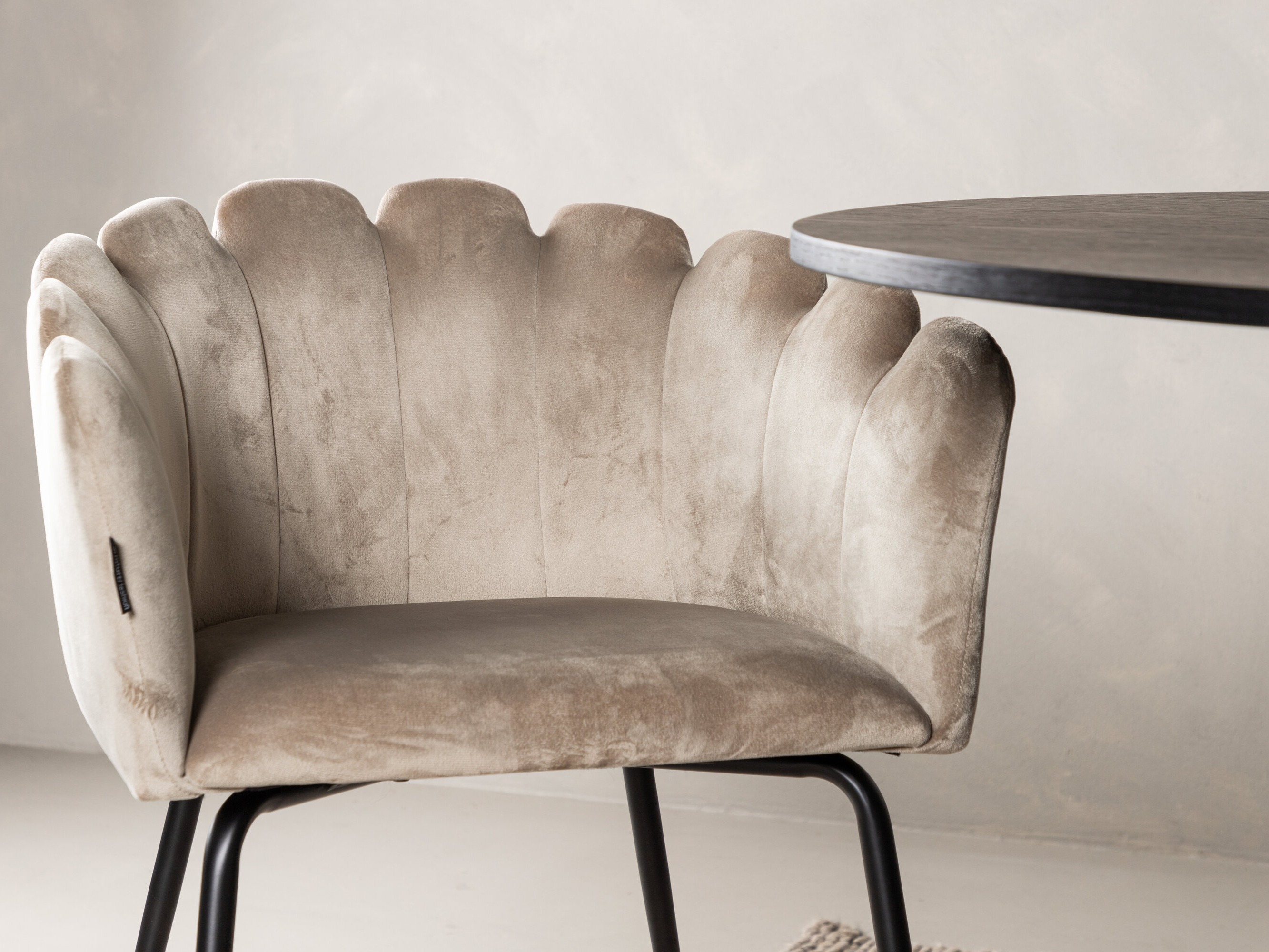 Jedilniški komplet Dallas 5081