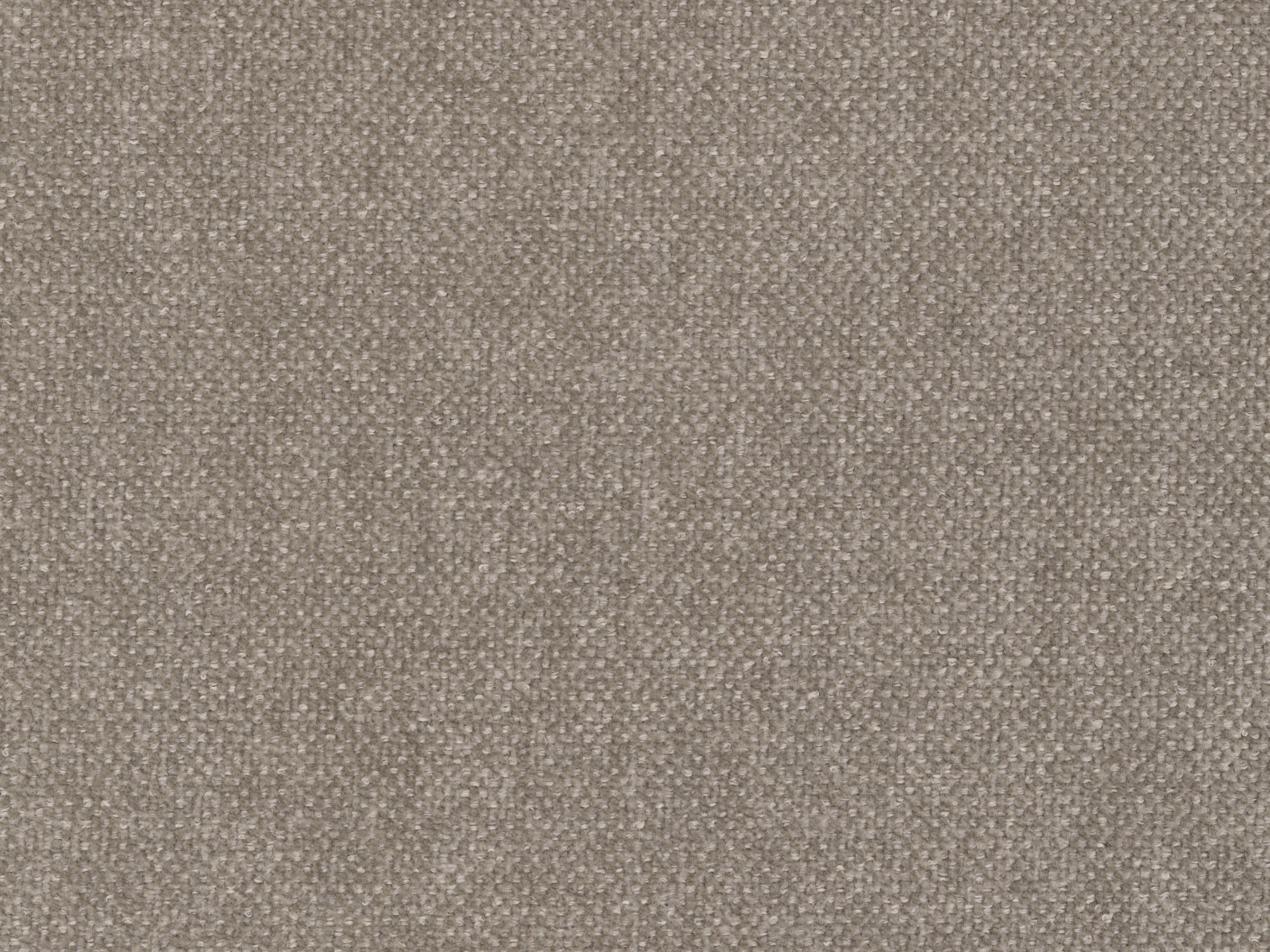 Klop z oblazinjenjem Venelba 109 (Storm 09)