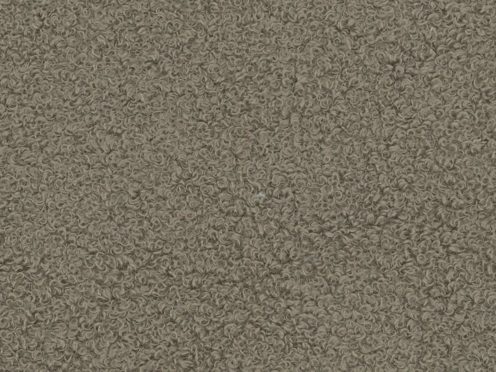 Klop z oblazinjenjem Temecula 110 (New or Never 16)