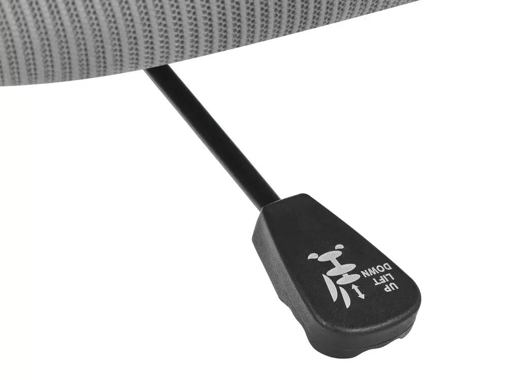 Pisarniški stol Berwyn 2920 (Svetlo siva)