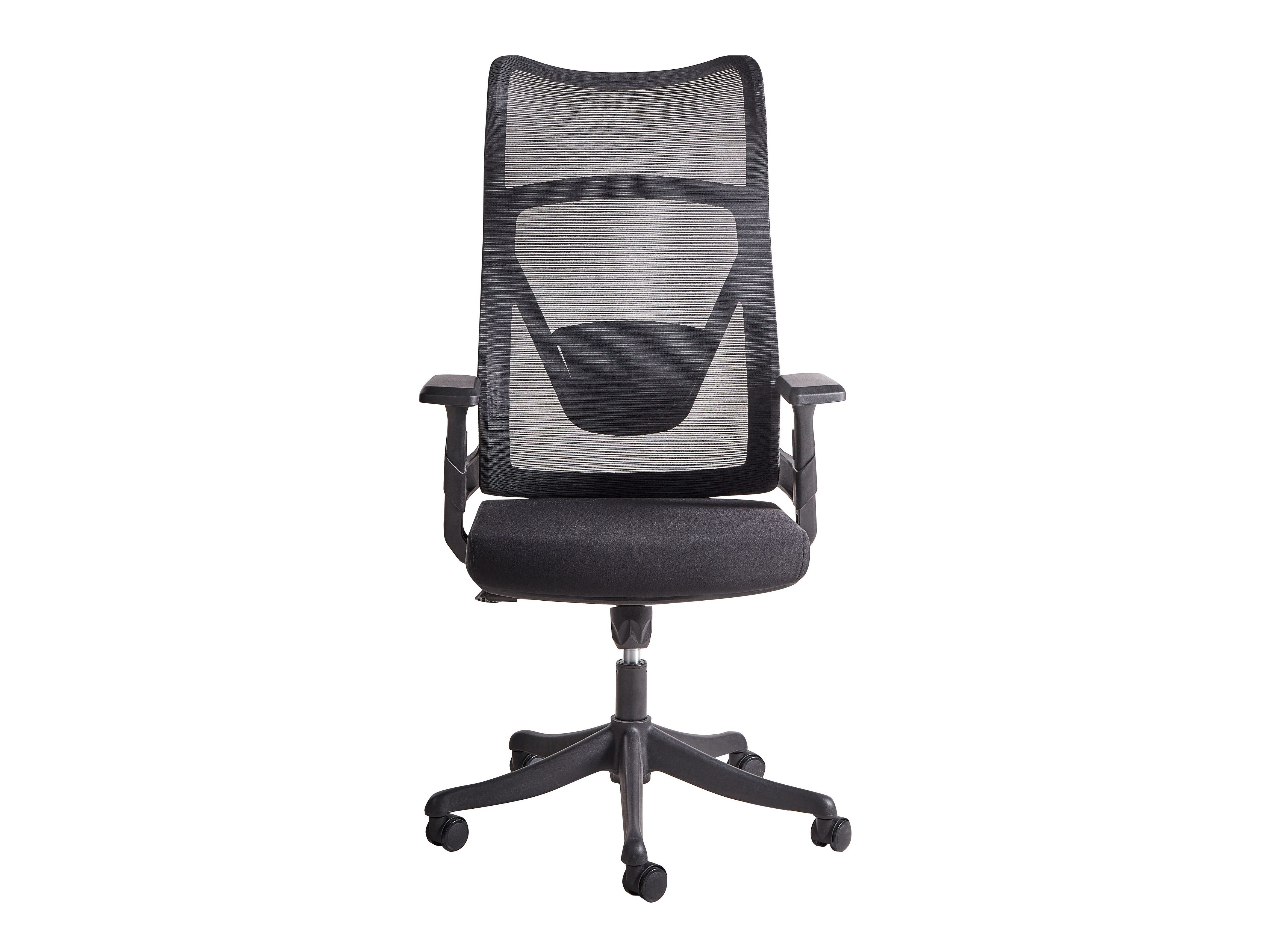 Pisarniški stol Berwyn 2939 (Črna)