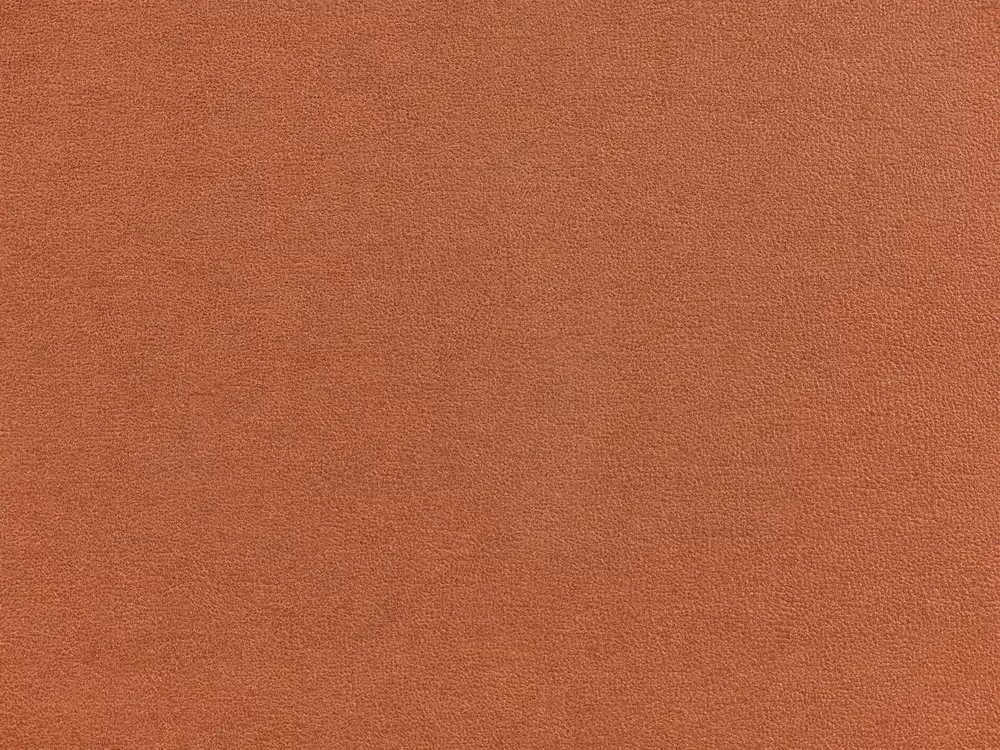 Komplet oblazinjenega pohištva Berwyn 3085 (Bela + Rjava)