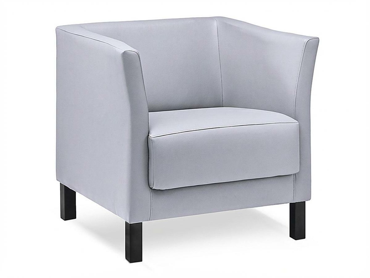 Fotelj Dalrevu 100 (Siva)