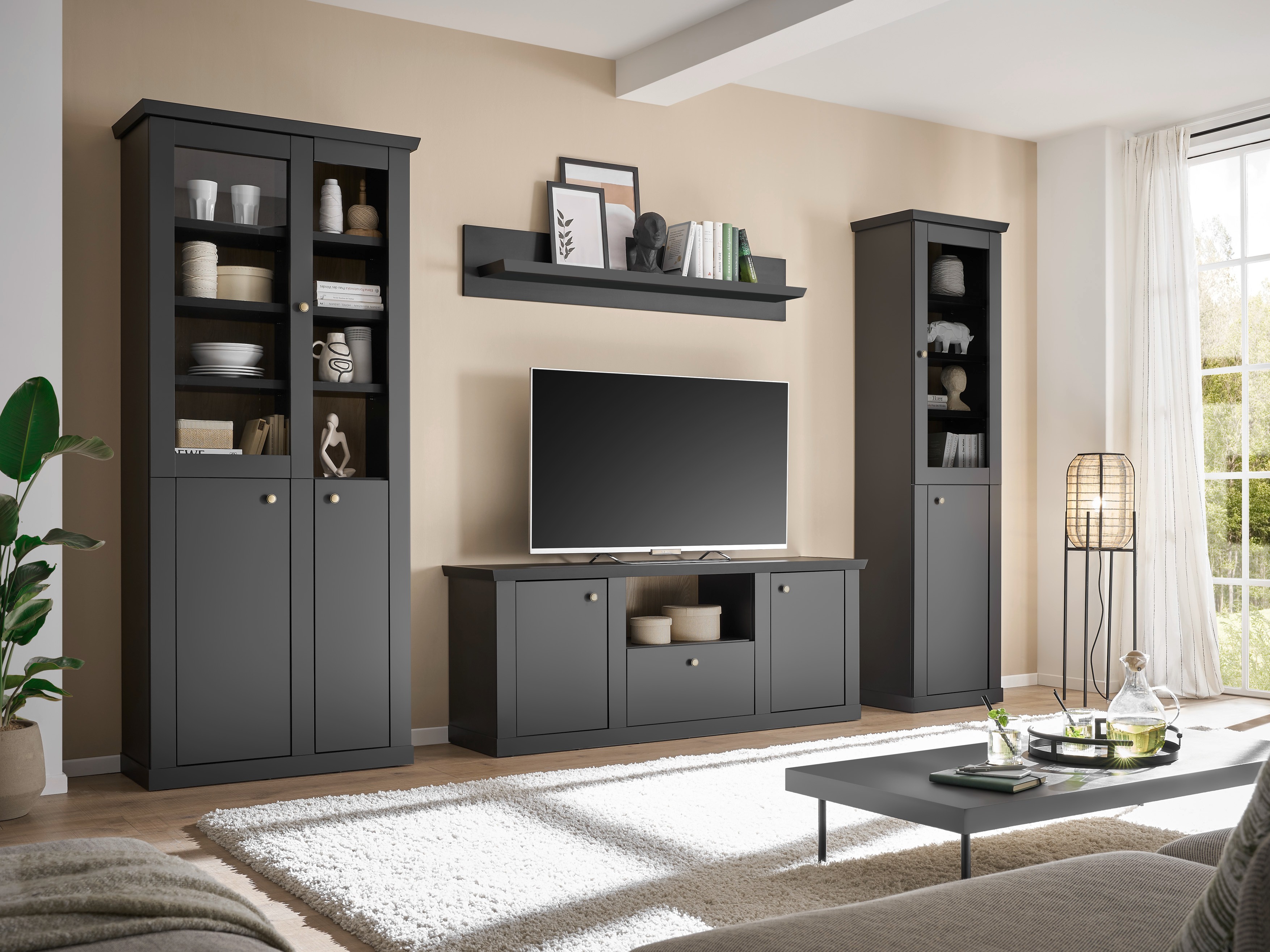 TV-omarica Lirsero 100