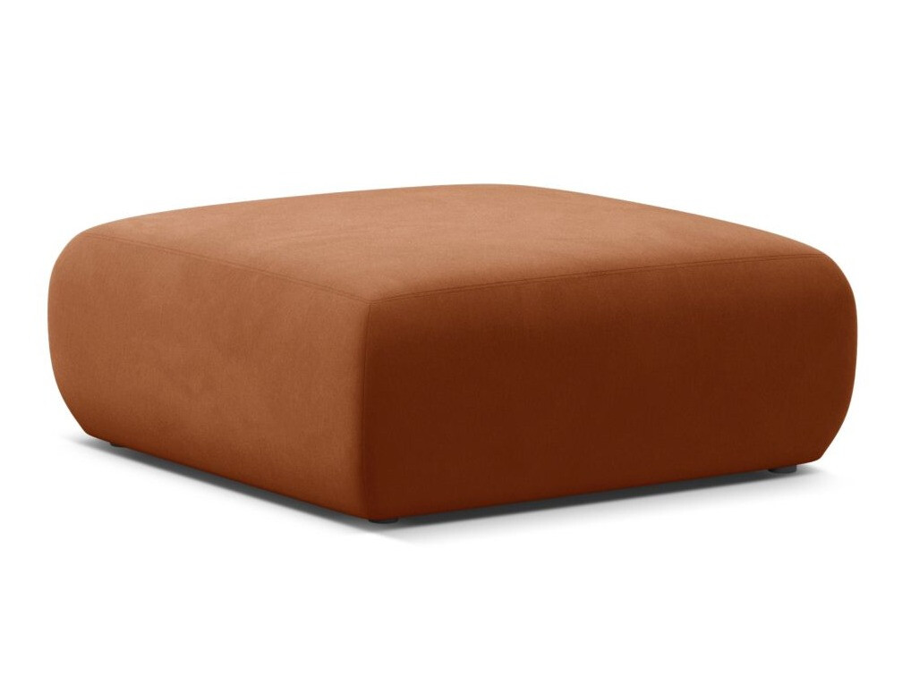 Klop z oblazinjenjem Romtoru 106 (Casino Terracota)