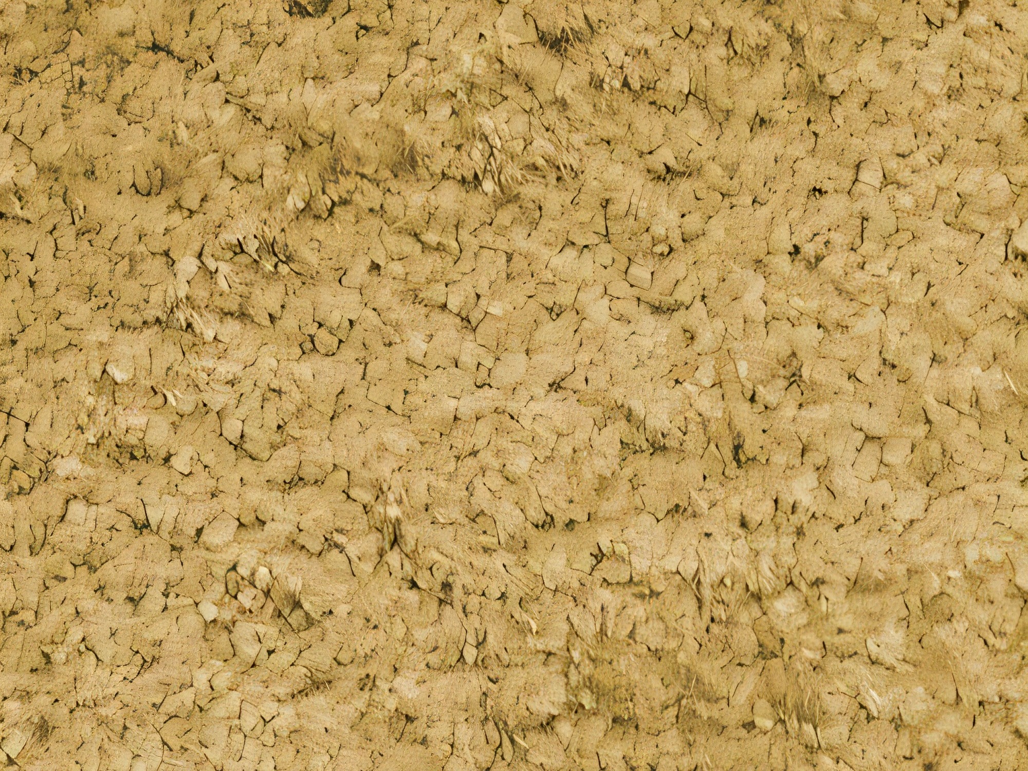 Kotna garnitura TrendyNest Gubor (Euphoria 10)