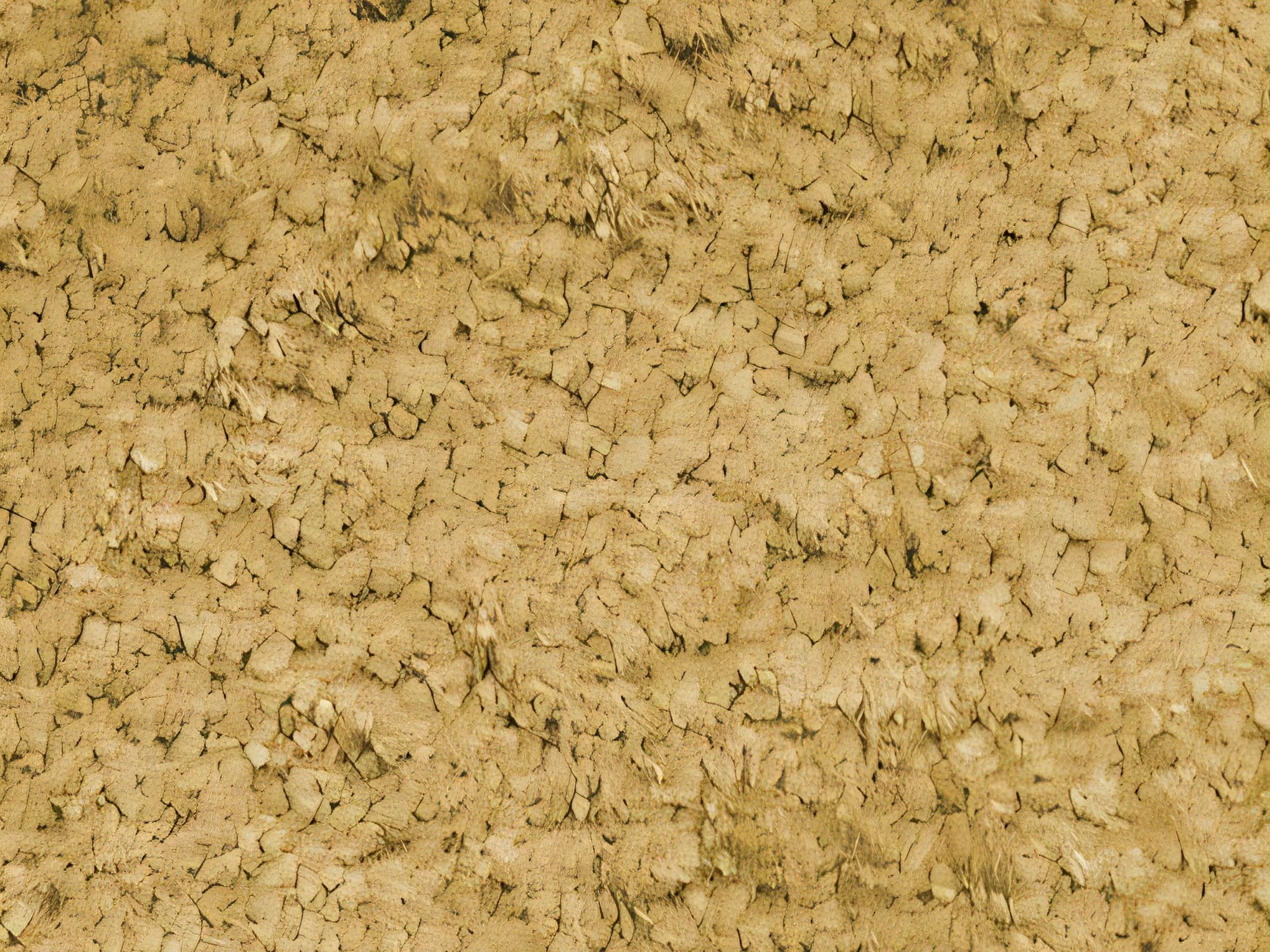 Kotna garnitura TrendyNest Gubor (Euphoria 10)