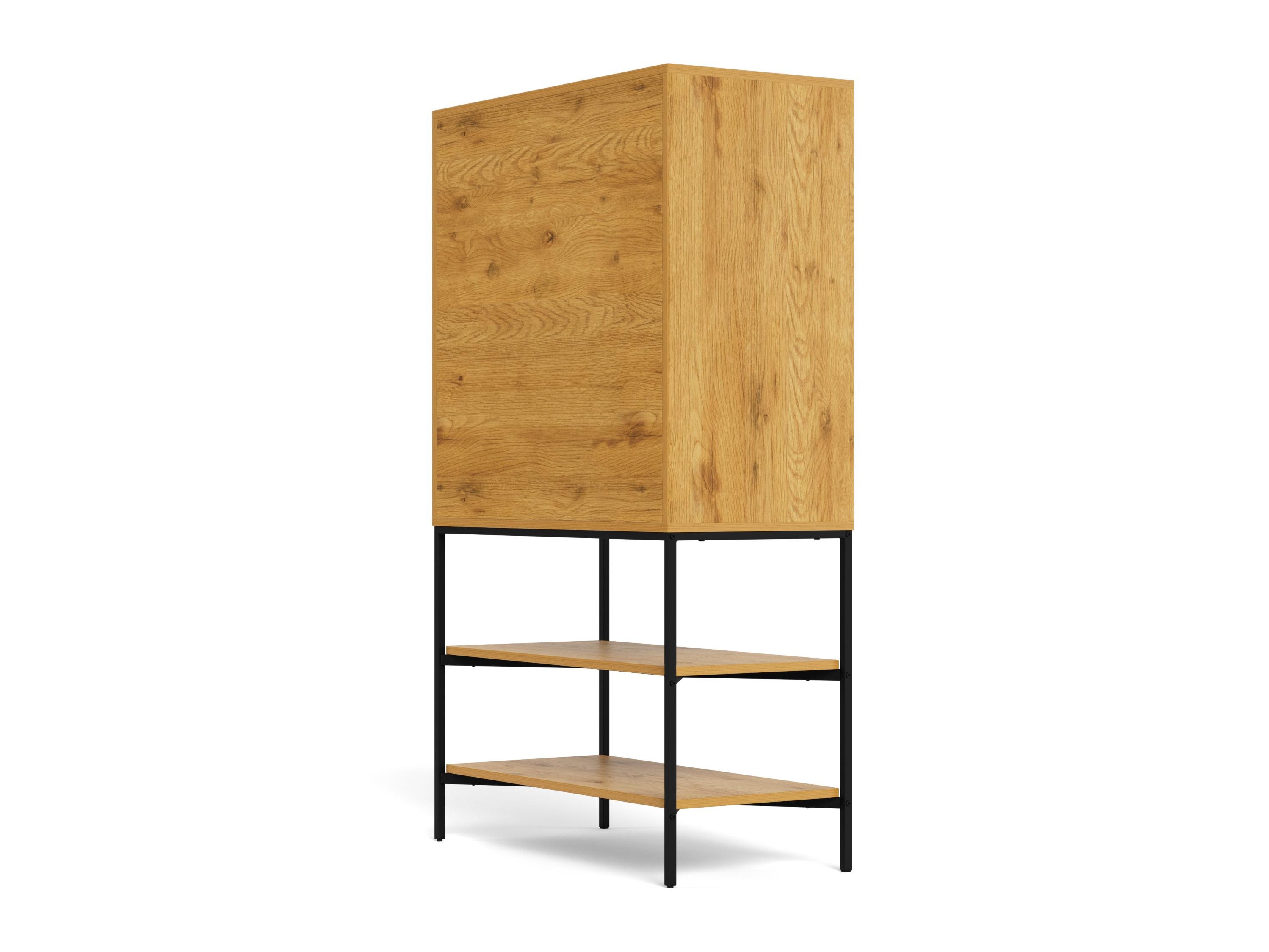 Regal Norsica 954 (Divji hrast)