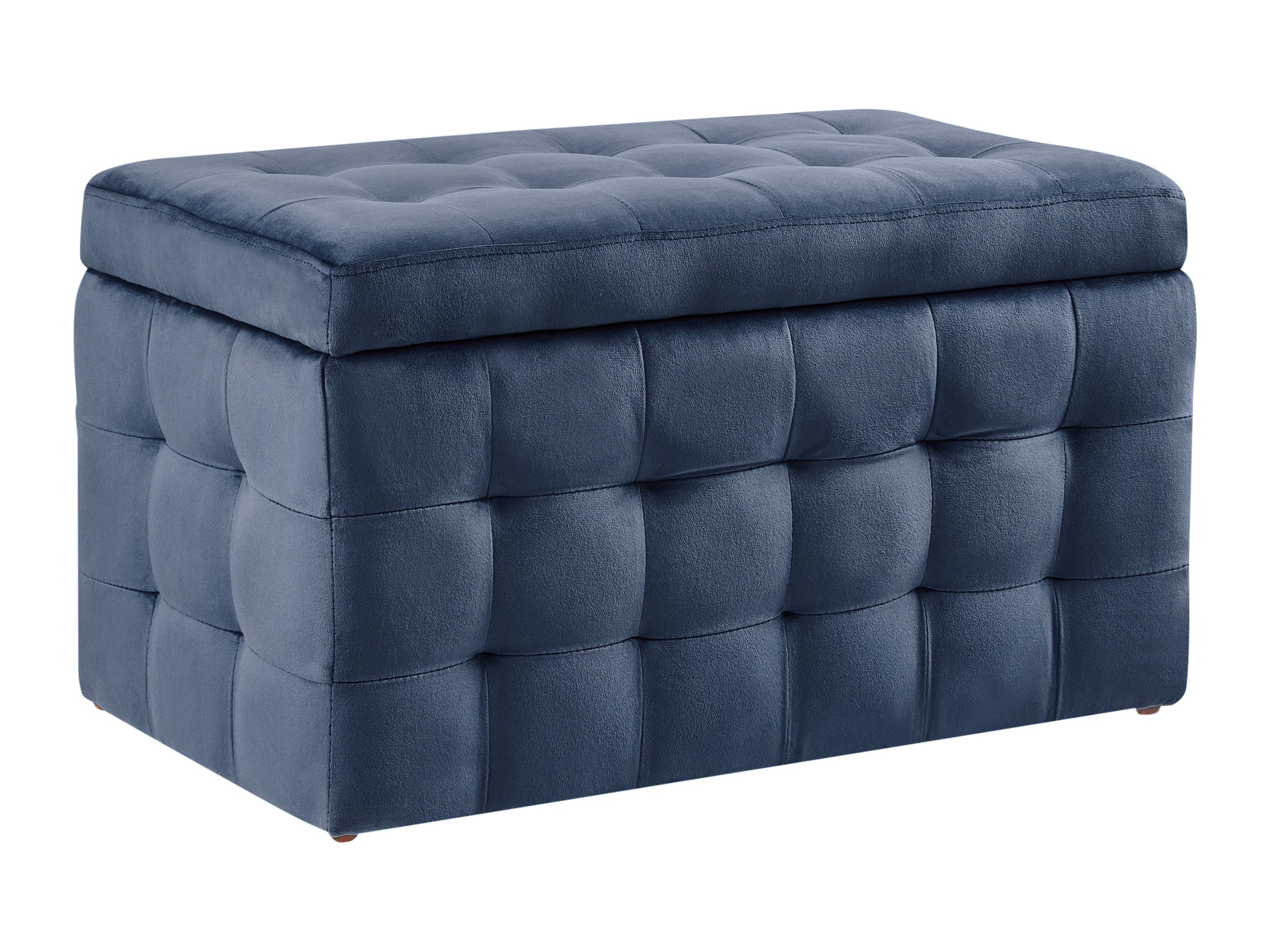 Klop z oblazinjenjem Berwyn 1754 (Modra)