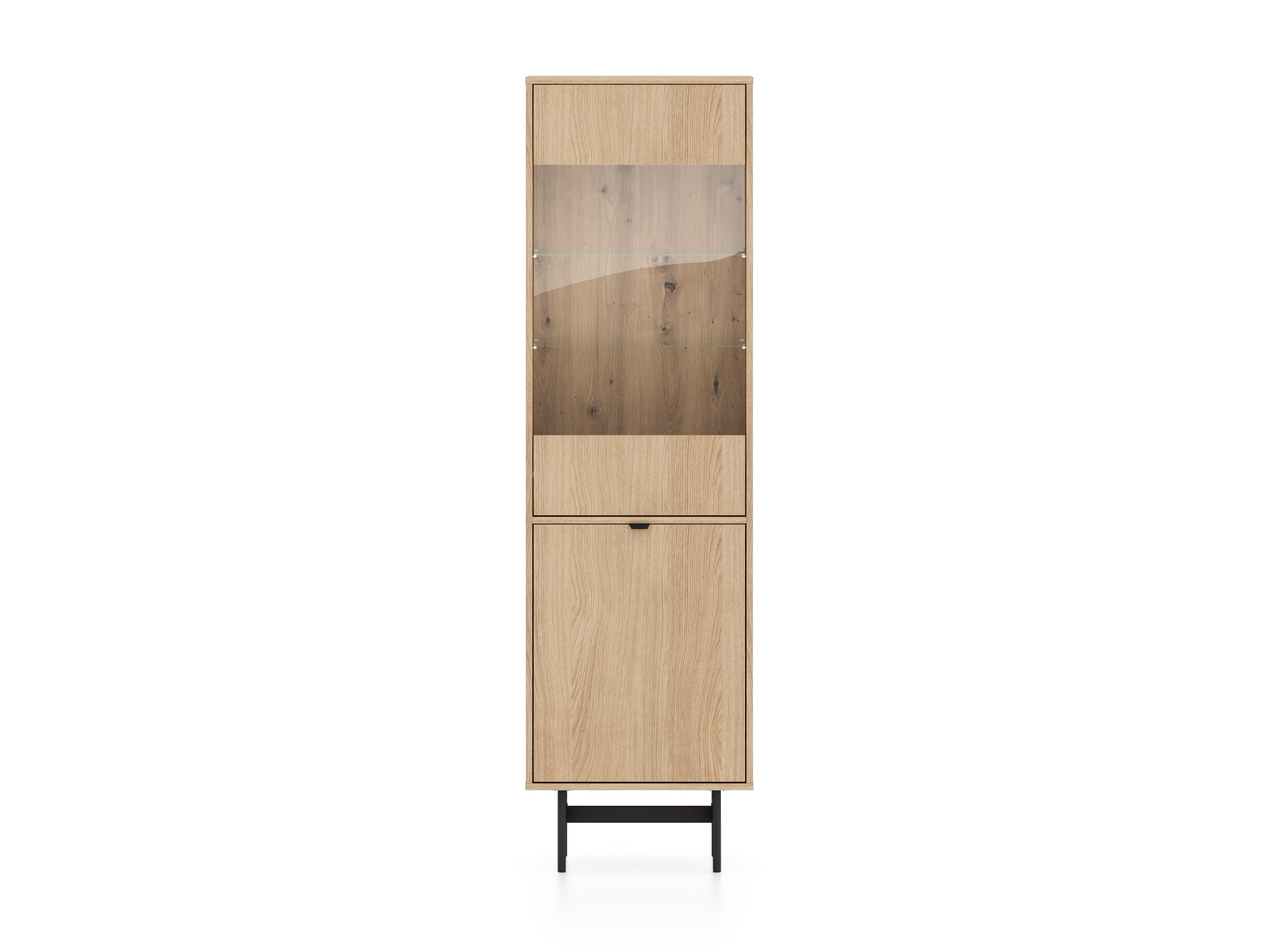 Regal Morsero 100