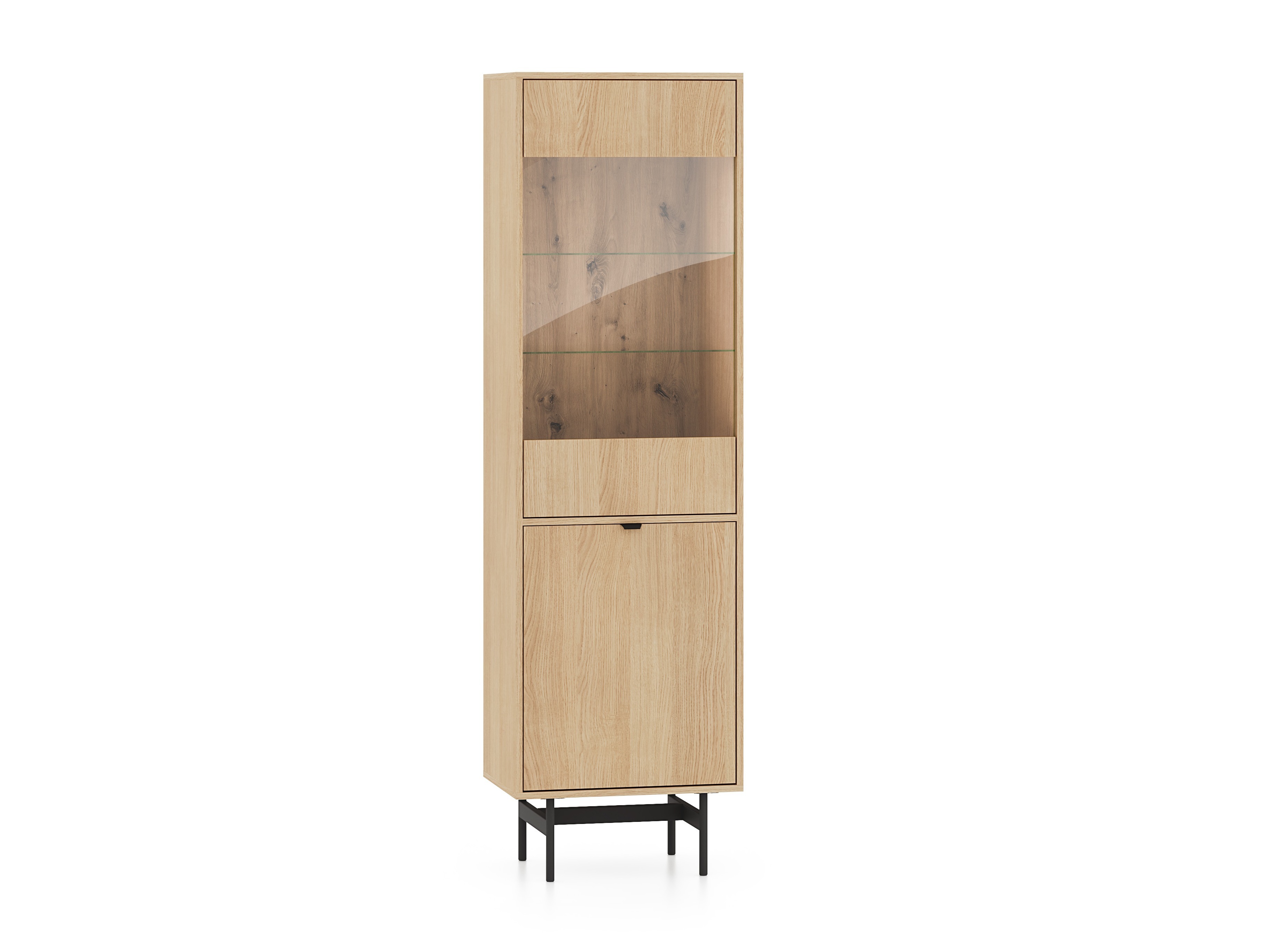 Regal Morsero 100
