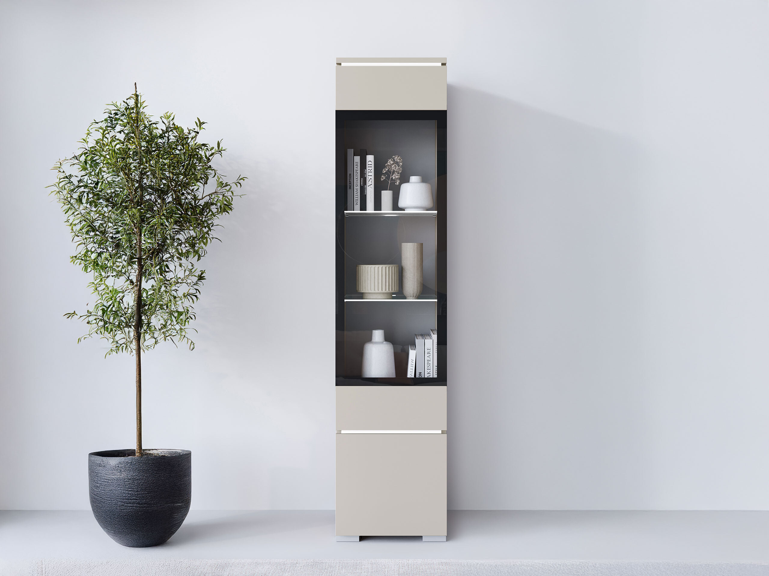 Regal Mirfivo 109 (Kašmir)