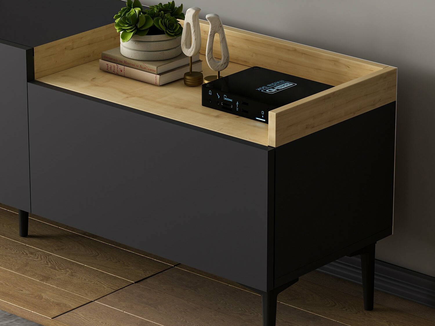 TV-omarica Kailua 1006
