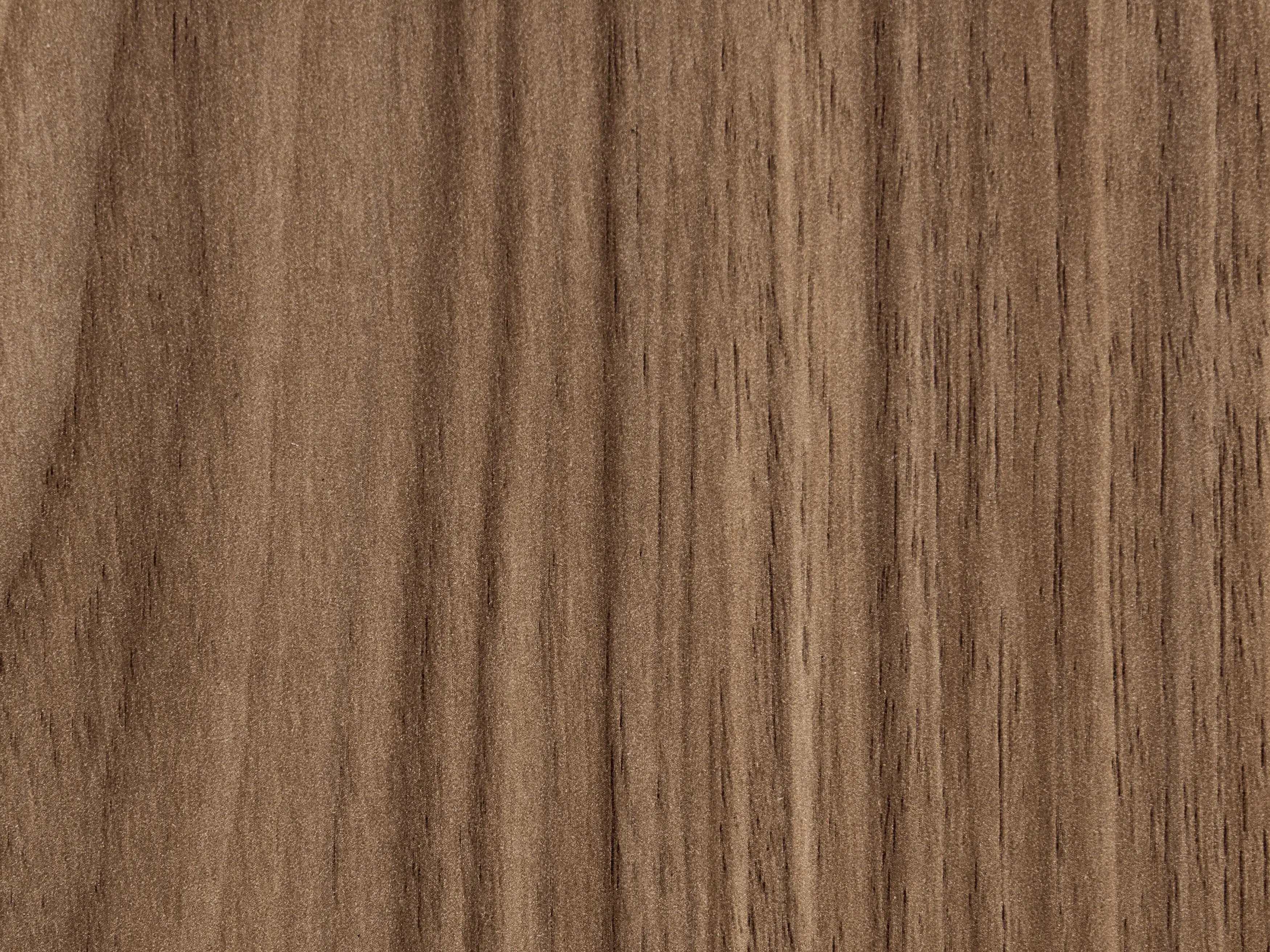Regal Berwyn 3387 (Rjava)