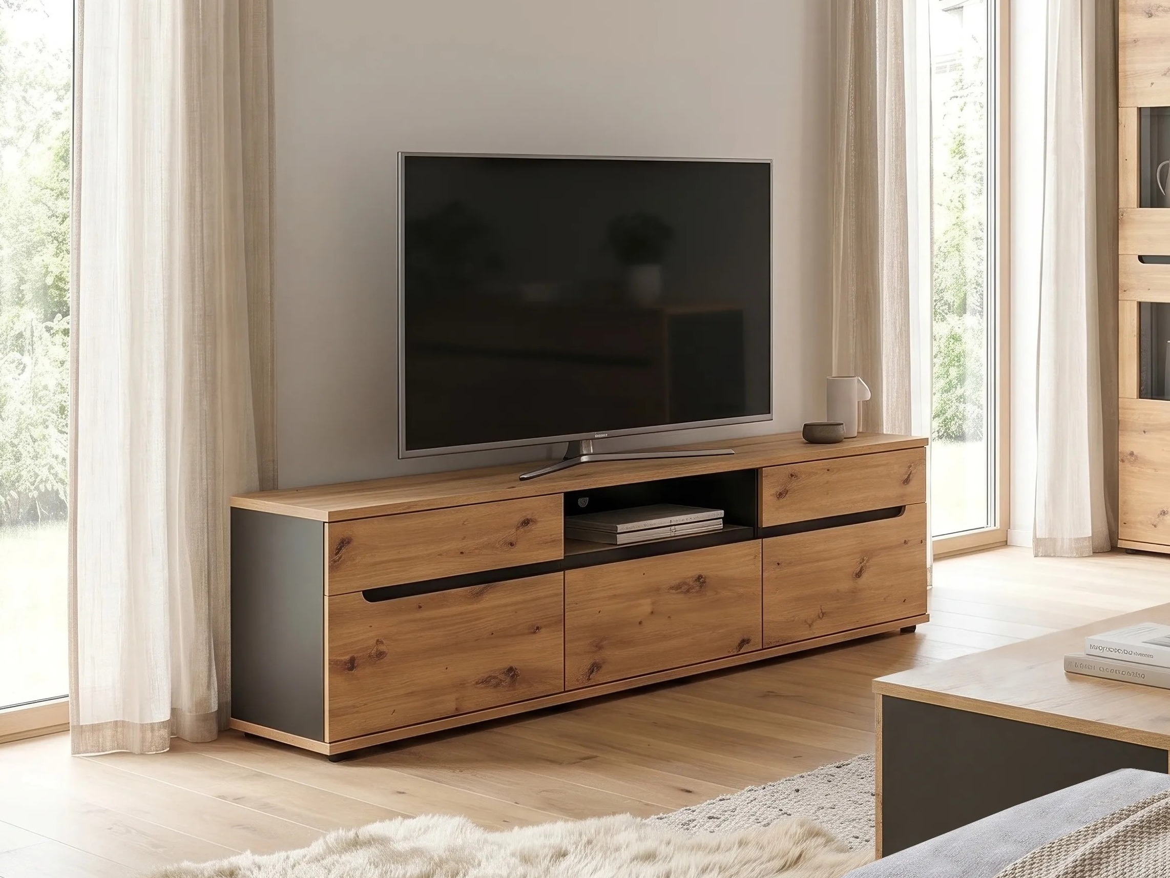 TV-omarica Lirfela 100